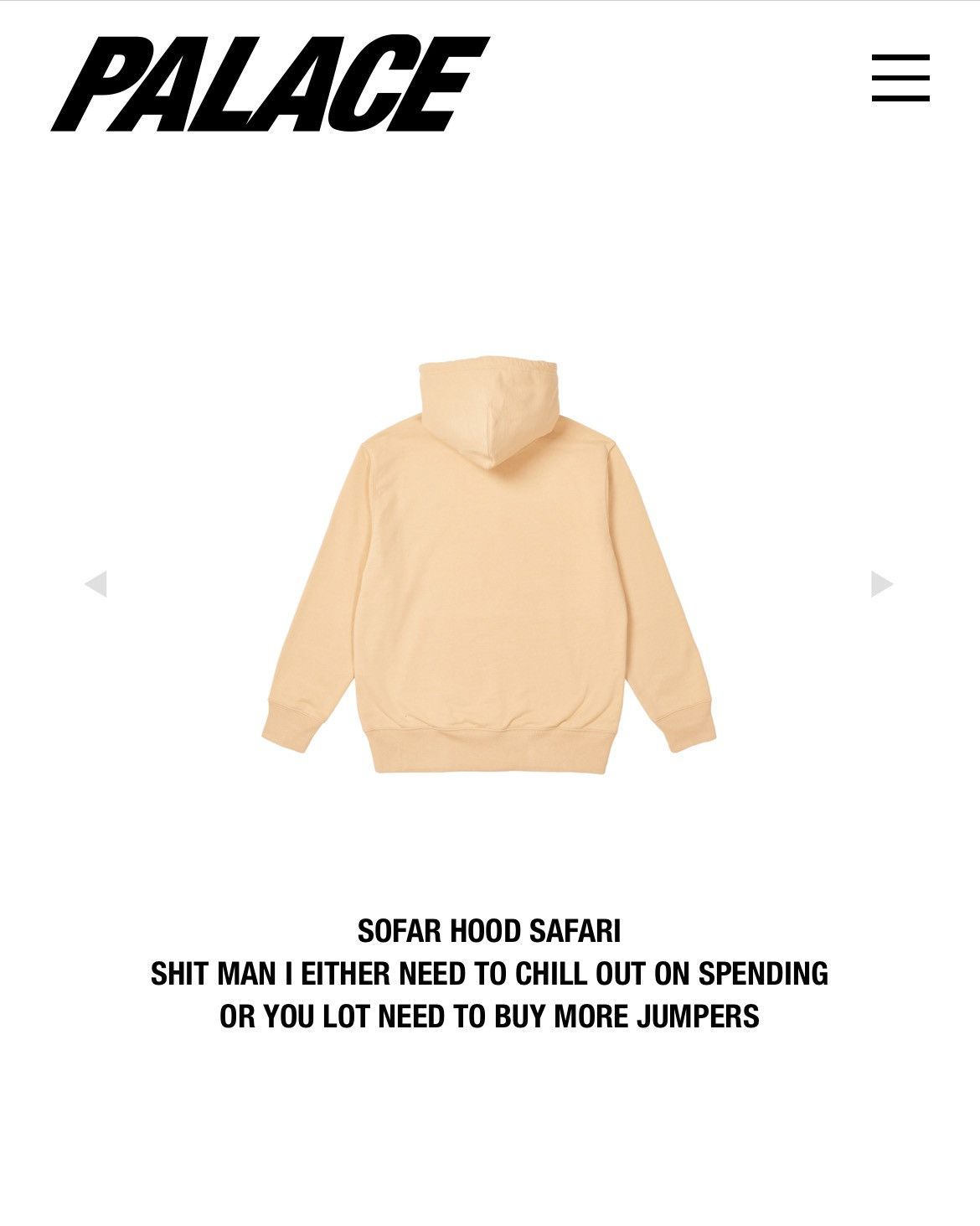 Palace FW21 PALACE SOFAR HOOD SAFARi TAN BEiGE TRi-FERG HOODiE Size US XL / EU 56 / 4 - 14 Thumbnail