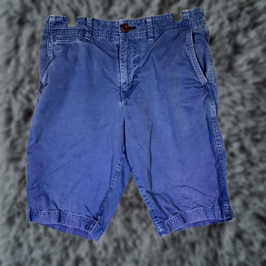 American Eagle Outfitters American Eagle Outfitters Golf Shorts Men’s 30 Blue Cotton Longer Length Casual Size US 30 / EU 46 - 1 Thumbnail