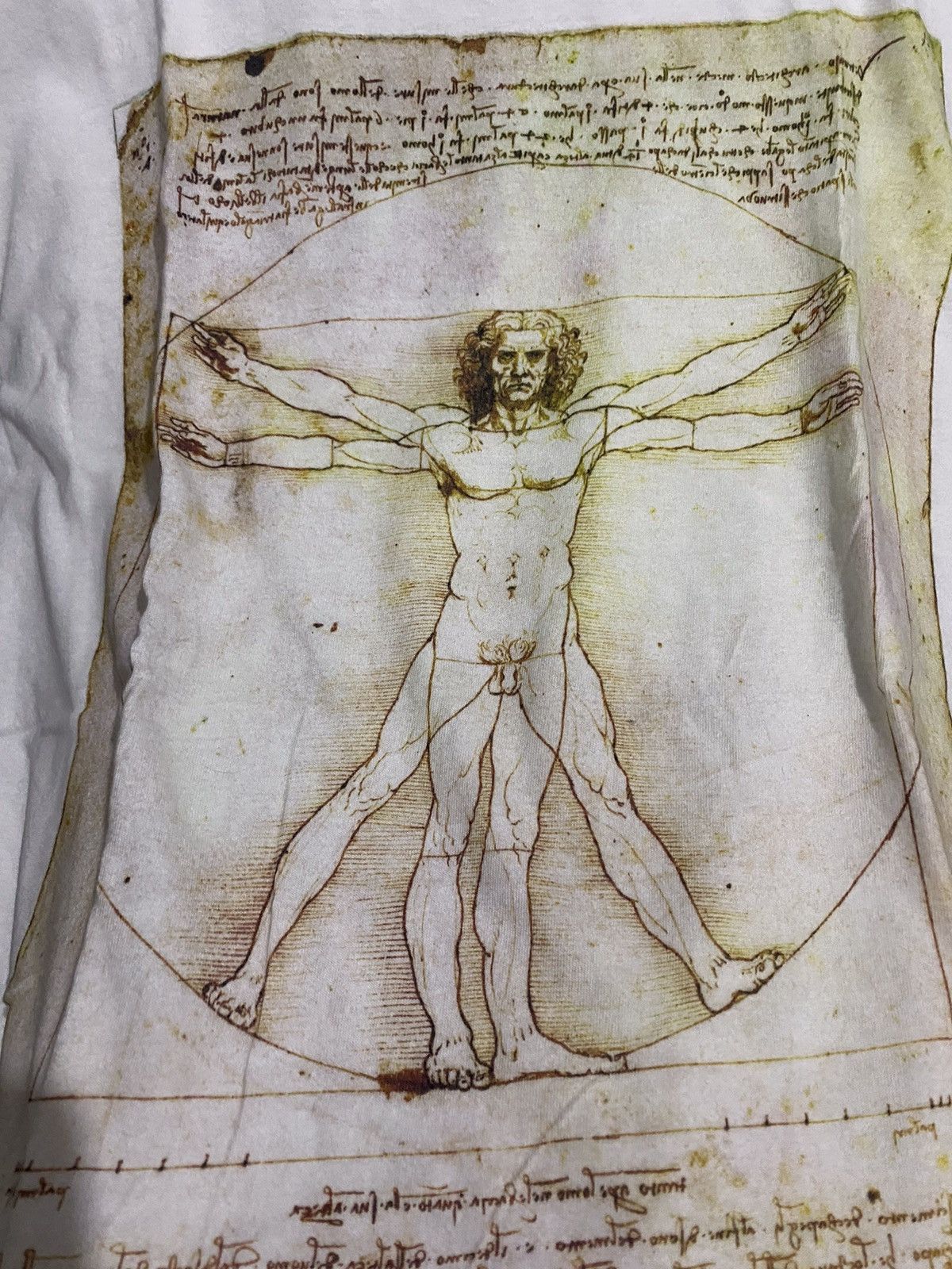 Gildan The vitruvian man leonardo da vinci tee Size US M / EU 48-50 / 2 - 3 Thumbnail