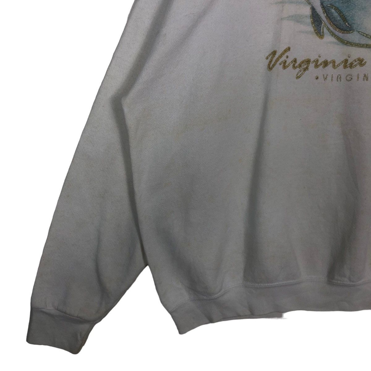 Japanese Brand 🔥90’s Vintage Sweatshirt Crewneck Virginia Beach Big Logo Size US M / EU 48-50 / 2 - 3 Thumbnail