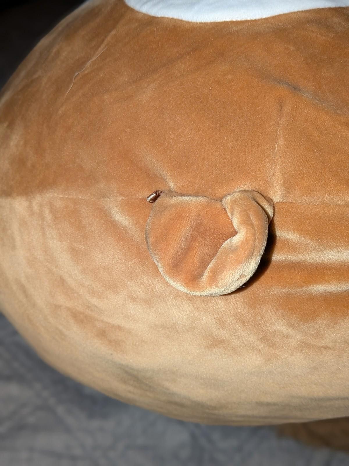 Designer Rare Sawyer the Squirrel 16" Squishmallow Stuffed Animal Size ONE SIZE - 5 Thumbnail