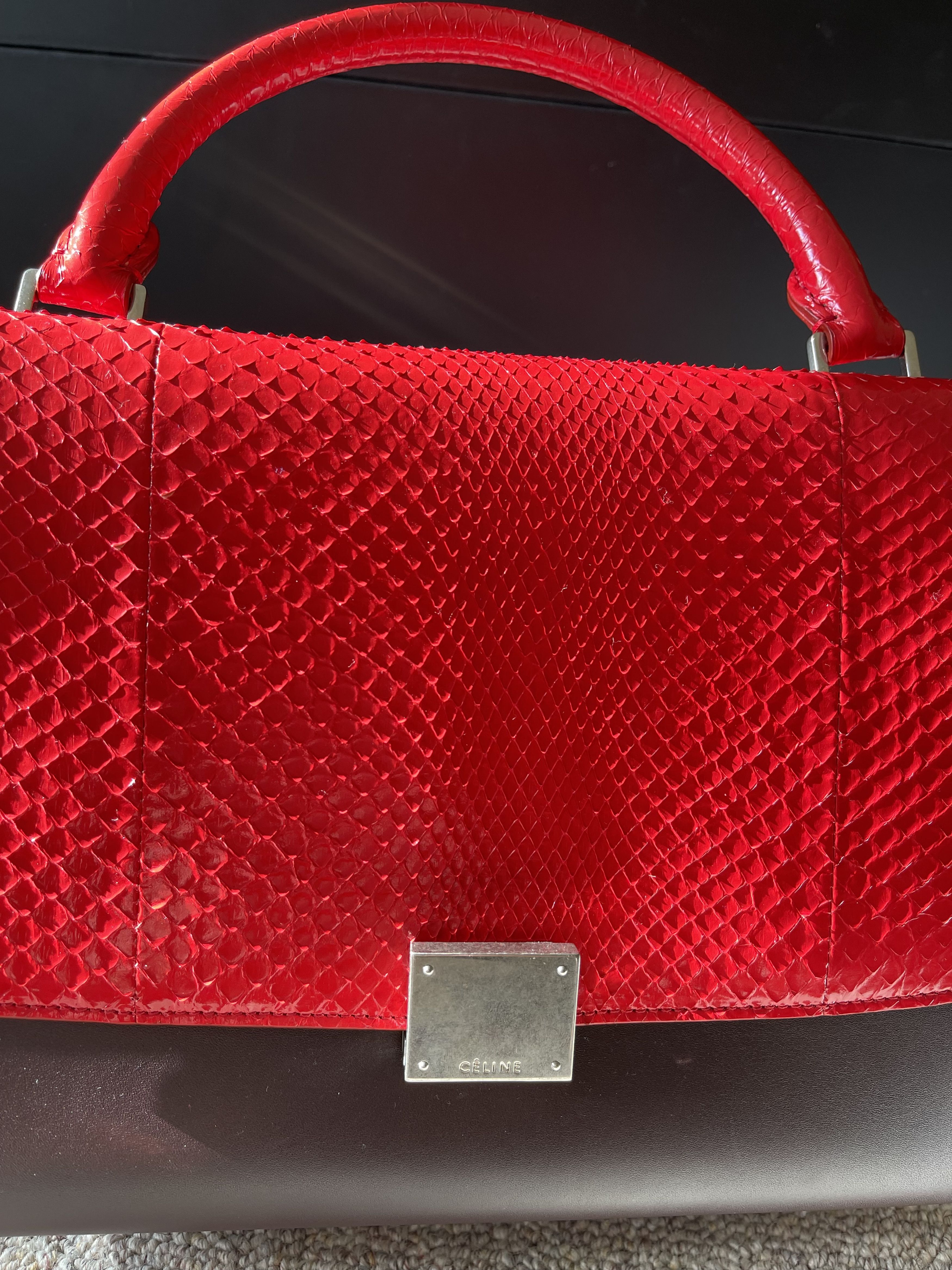 Celine Celine Small Trapeze Python Bag Size ONE SIZE - 12 Thumbnail