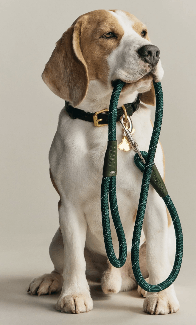 Kith Kith for wagwear Rope Leash - Green Size ONE SIZE - 4 Thumbnail