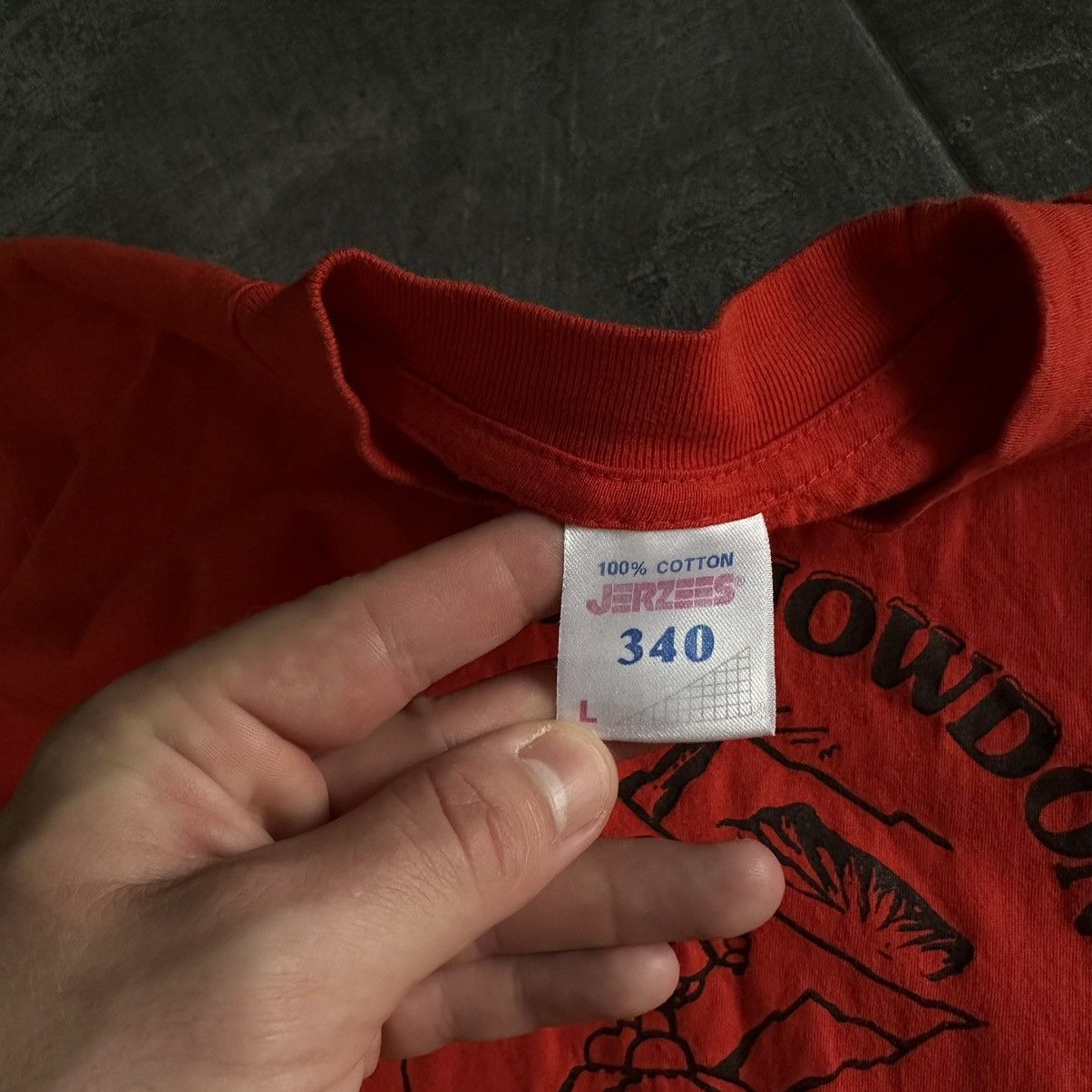 Vintage Vintage Japanese Style T-shirts I Climbed Snowdon Joke Y2K Size L / US 10 / IT 46 - 7 Thumbnail
