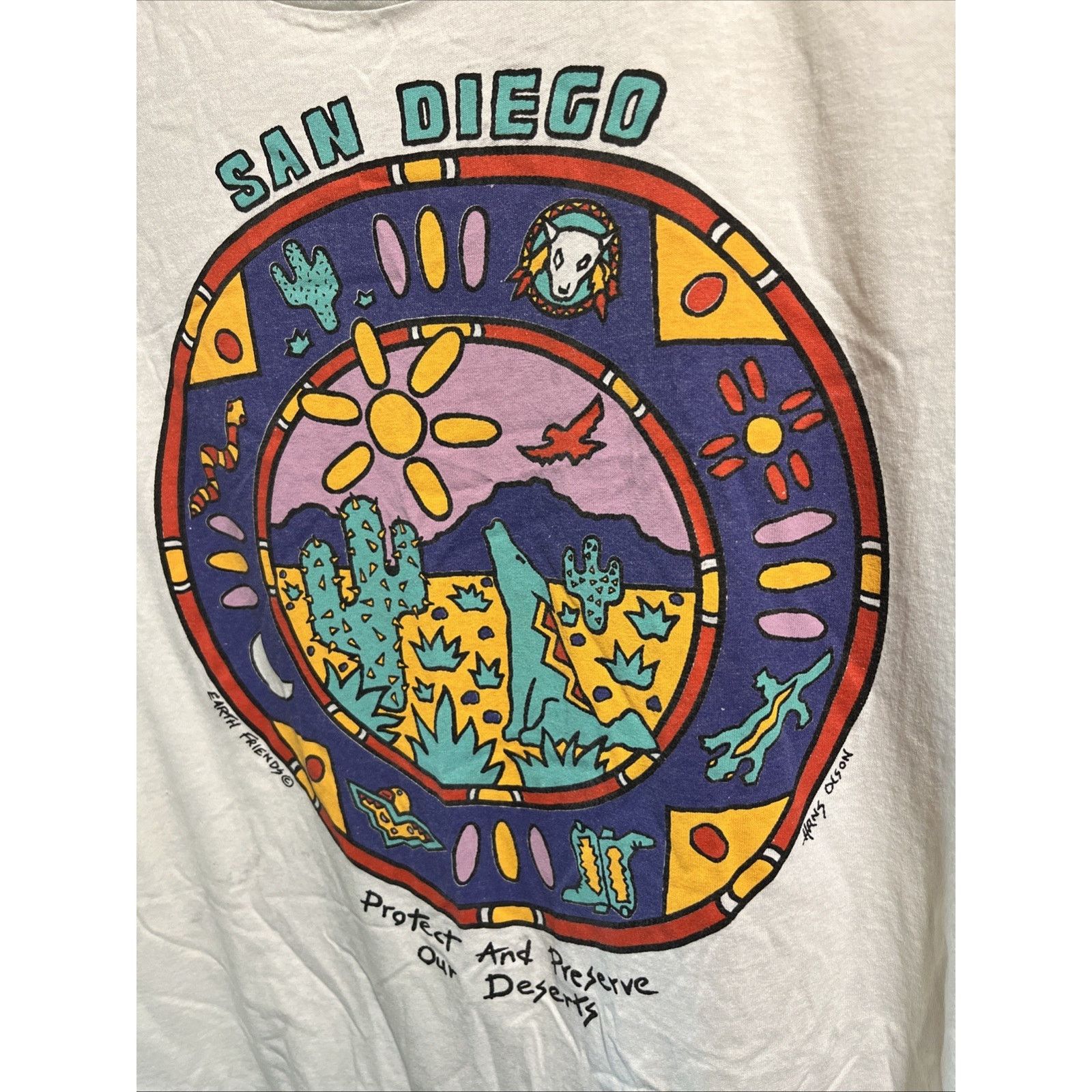 Hanes VTG Earth Friends Protect Deserts Tee XL San Diego Cotton Size US XL / EU 56 / 4 - 6 Thumbnail