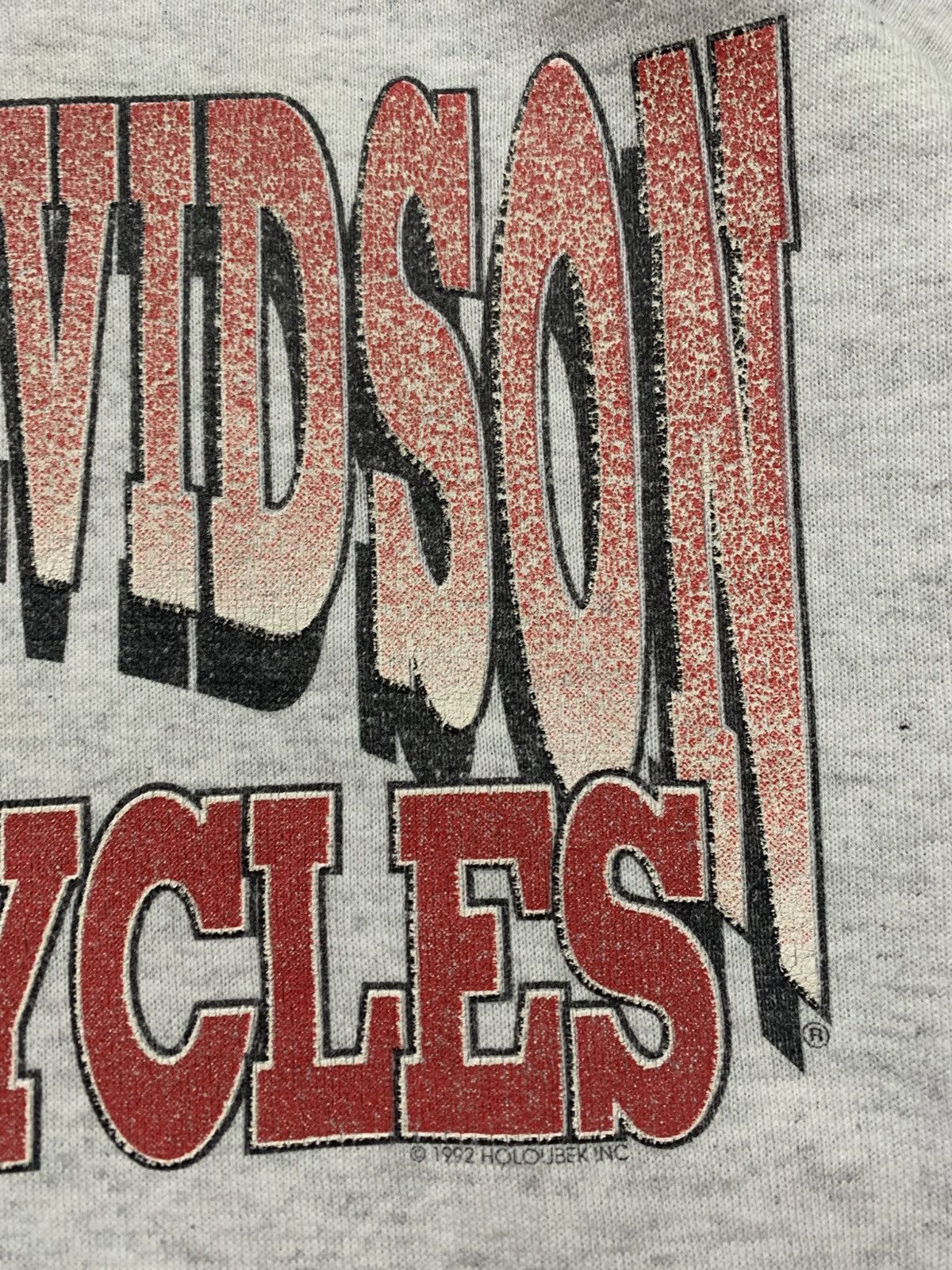Harley Davidson Vintage Harley Davidson Holoubek Hoodie Size US L / EU 52-54 / 3 - 5 Thumbnail