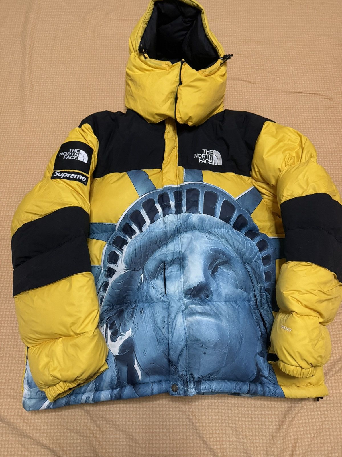 Supreme tnf north statue of liberty baltoro nuptse Jacket