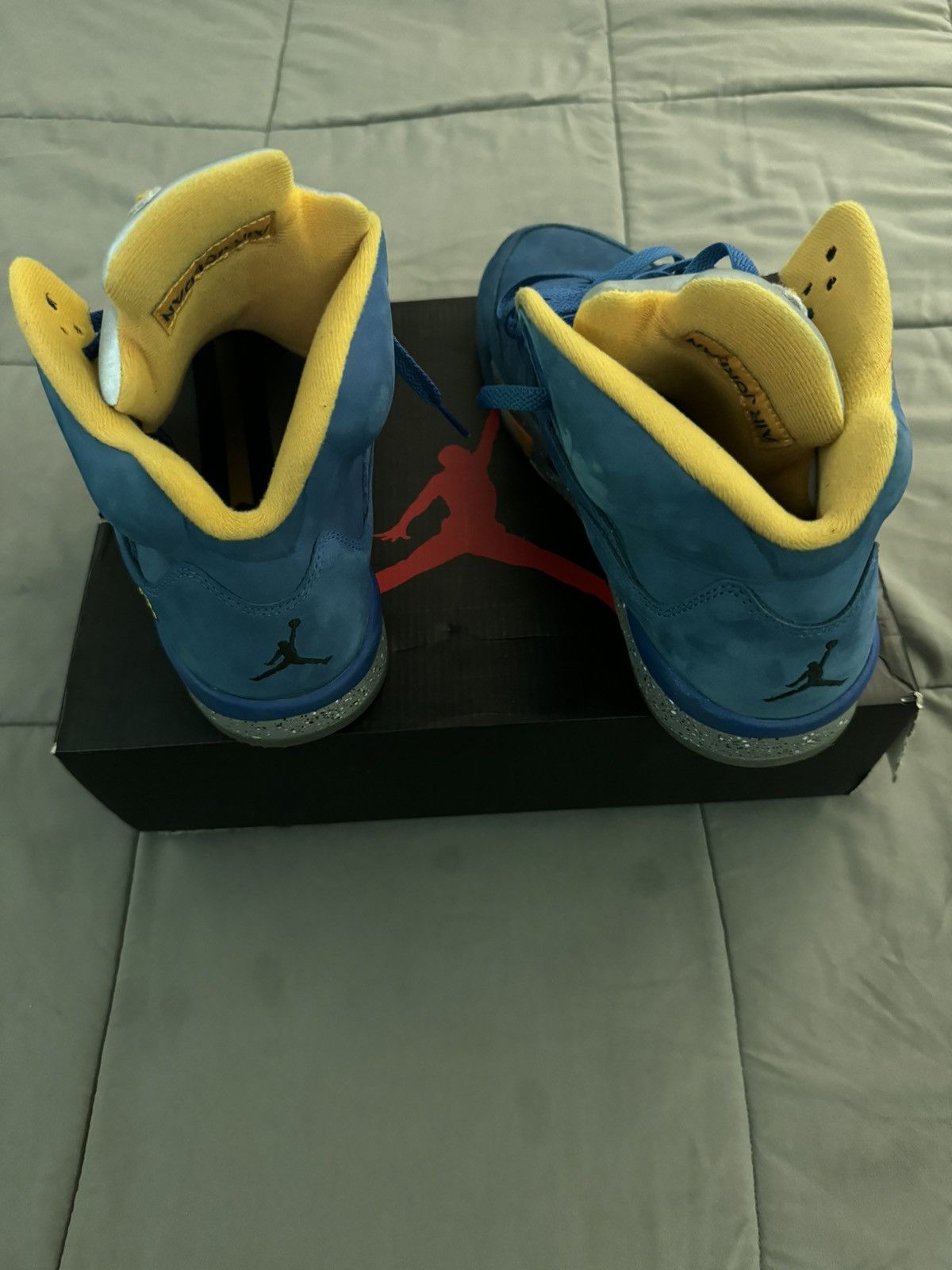 laney 5s jordans