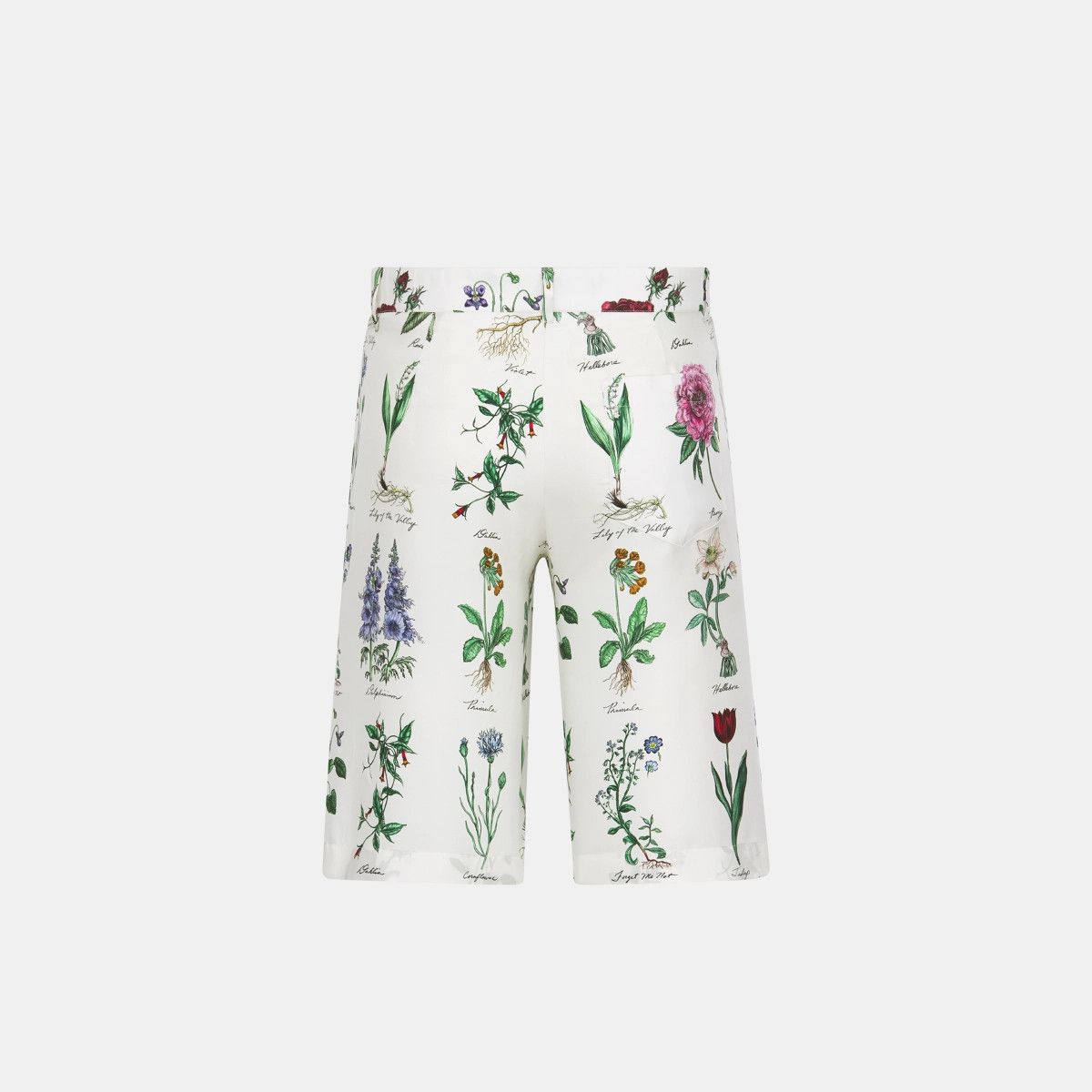 Dior o1bcso1str0226 Illustration Bermuda Shorts in White Size US 30 / EU 46 - 2 Thumbnail