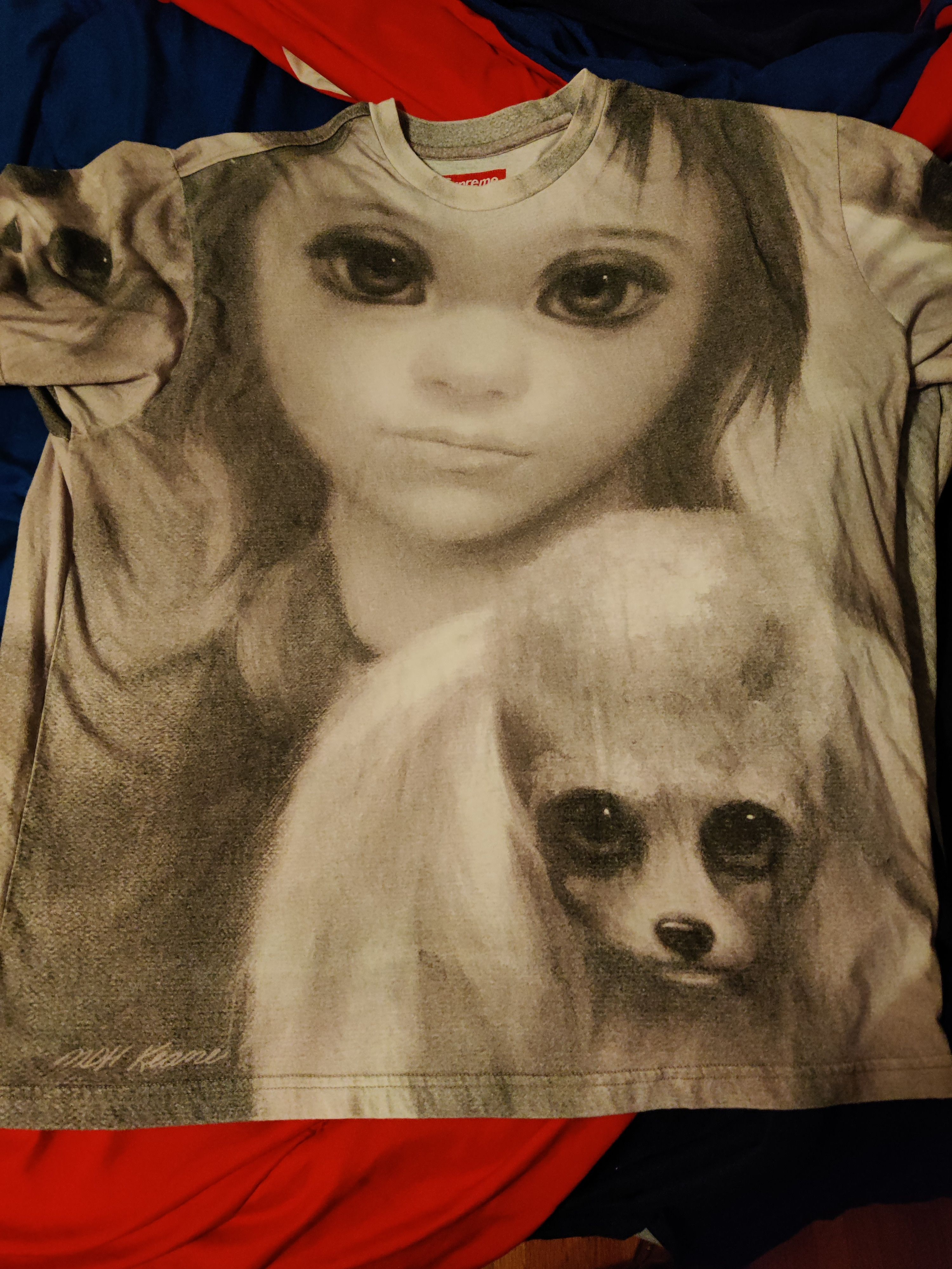 Supreme Margaret Keane Best Friends S/S Top Size XL | Grailed 