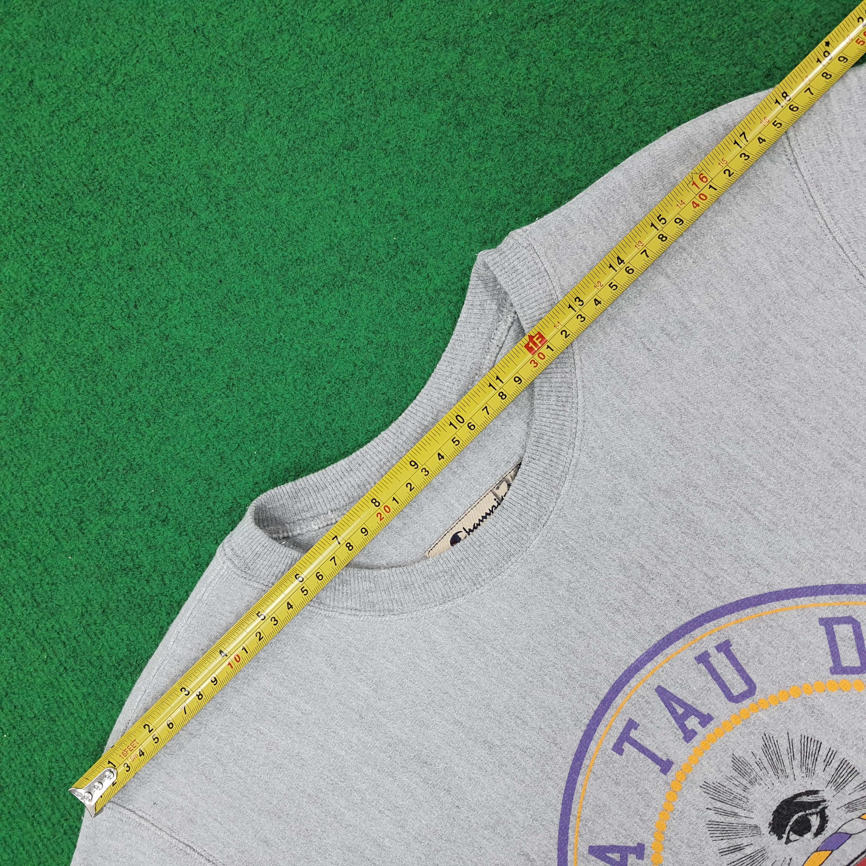 Champion Vintage Champion Delta Tau Delta Gamma Pi Sweathsirt C240N2 Size US M / EU 48-50 / 2 - 9 Thumbnail