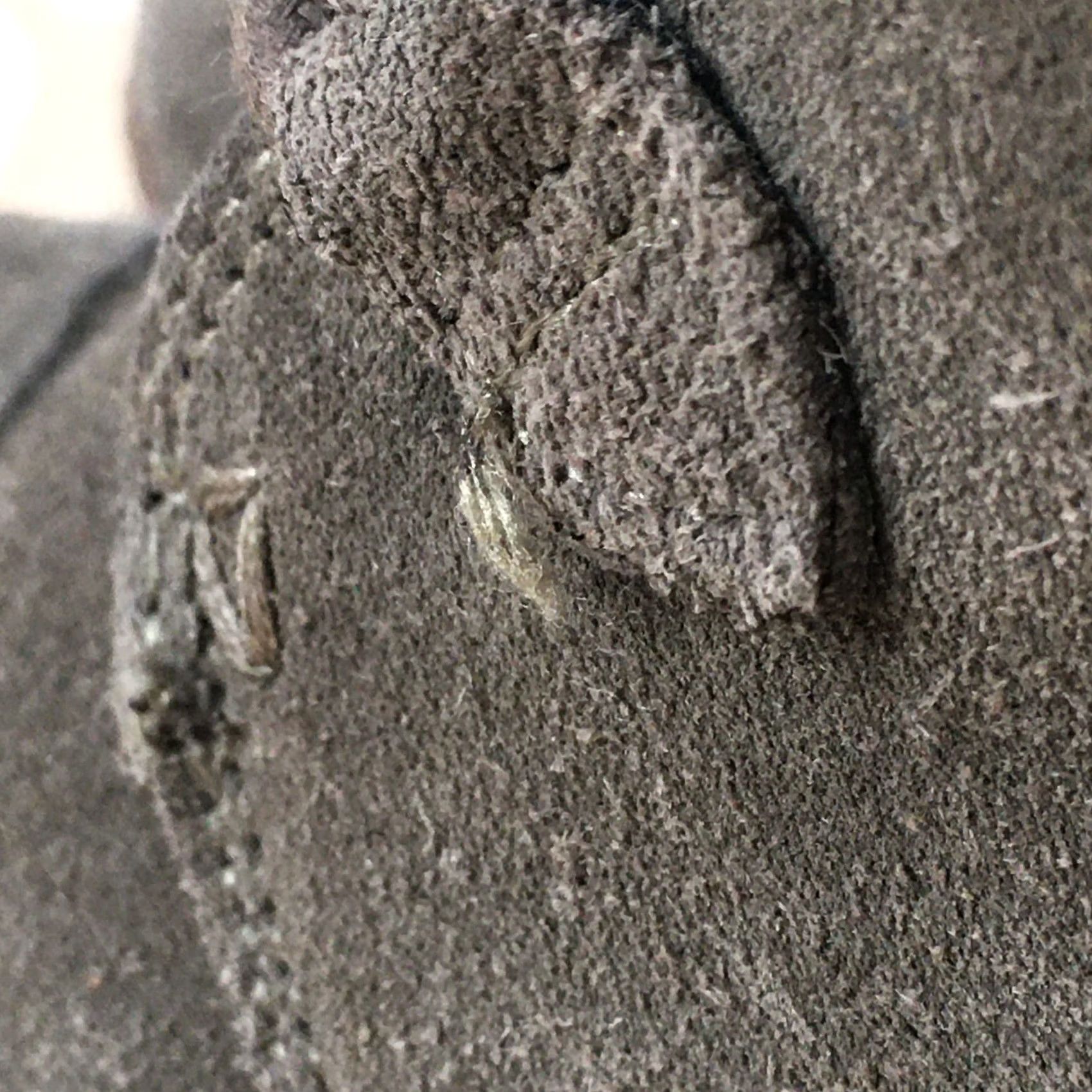Toms TOMS Desert Bootie Women's Olive Green Suede Lace Up Boot 8 Casual DeserT Wedge Ankle Shoe Women Size US 8 / IT 38 - 4 Thumbnail