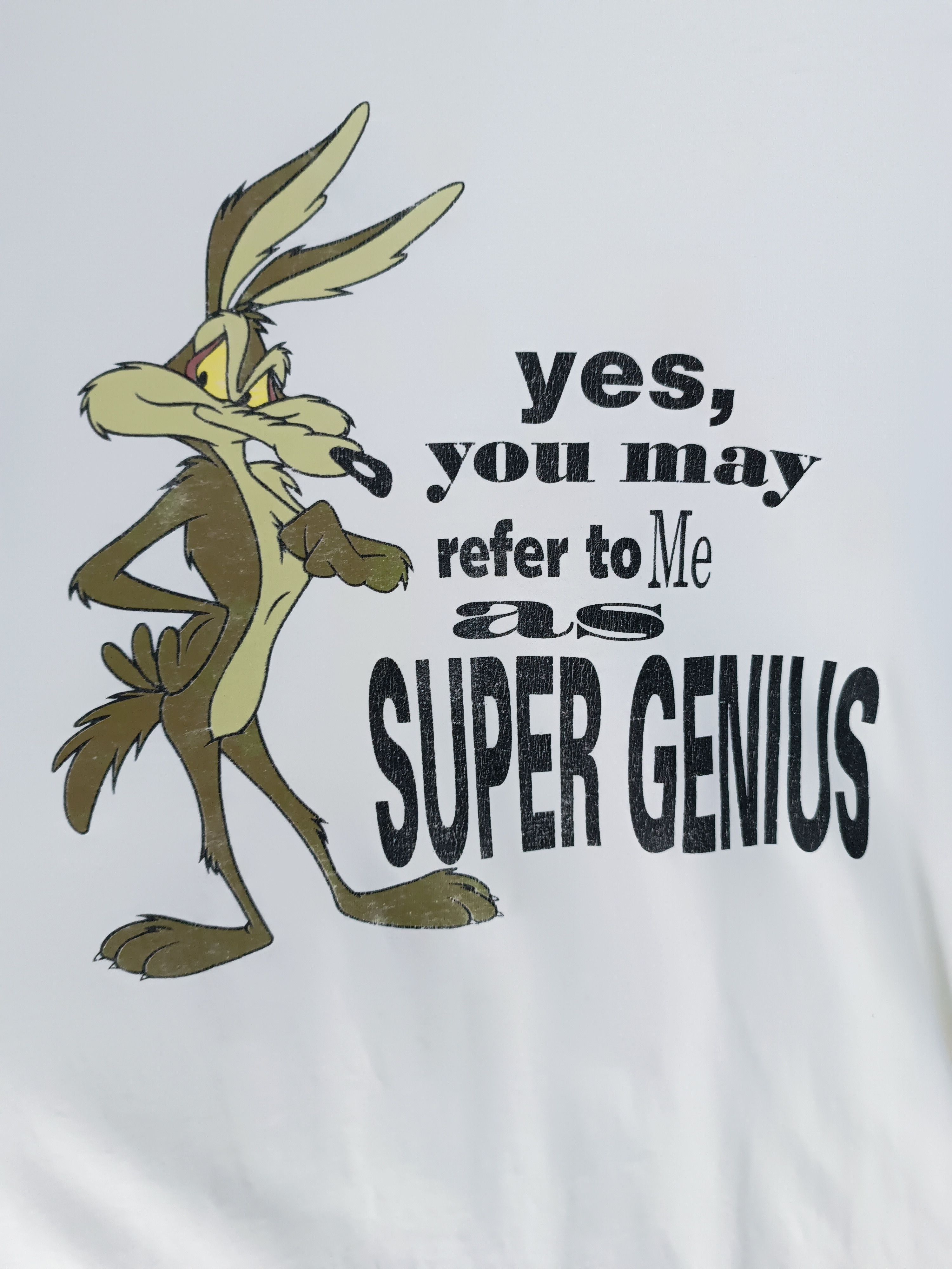 Cartoon Network THRASHED FADED VINTAGE 1991 WILE E. COYOTE ROAD RUNNER Size US XXL / EU 58 / 5 - 11 Thumbnail