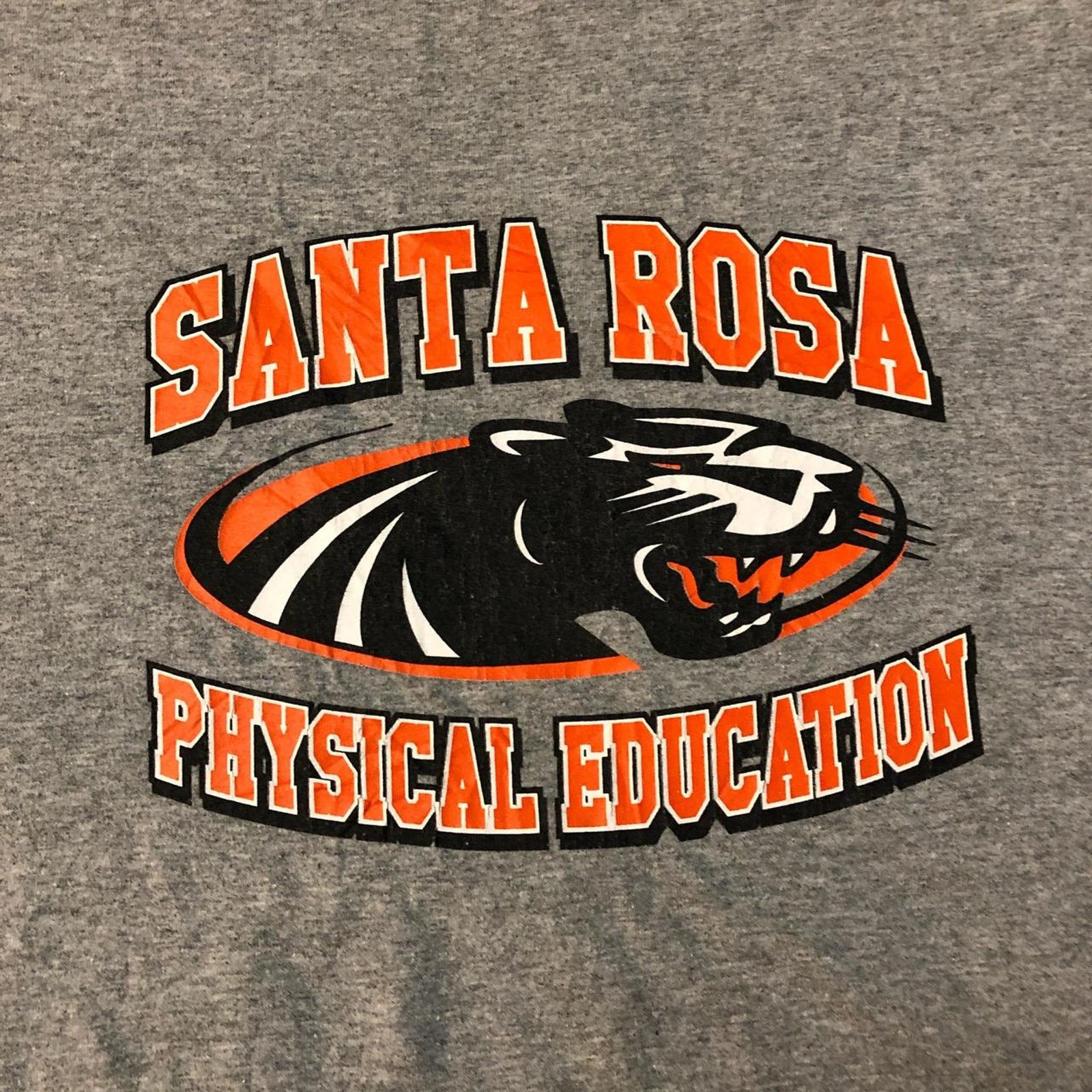 Gildan Men’s Grey Santa Rosa Physical Education Graphic Tee Size US XXL / EU 58 / 5 - 3 Thumbnail