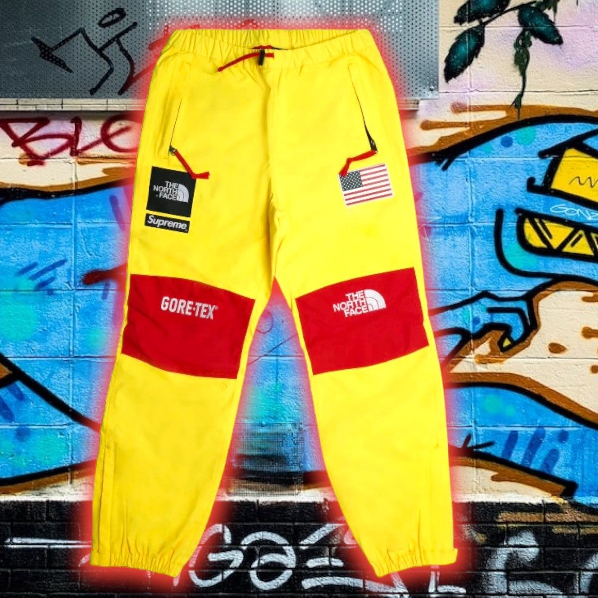 Supreme Supreme North Face ⛰️ l Expedition DryVent Pants 👖 | Grailed