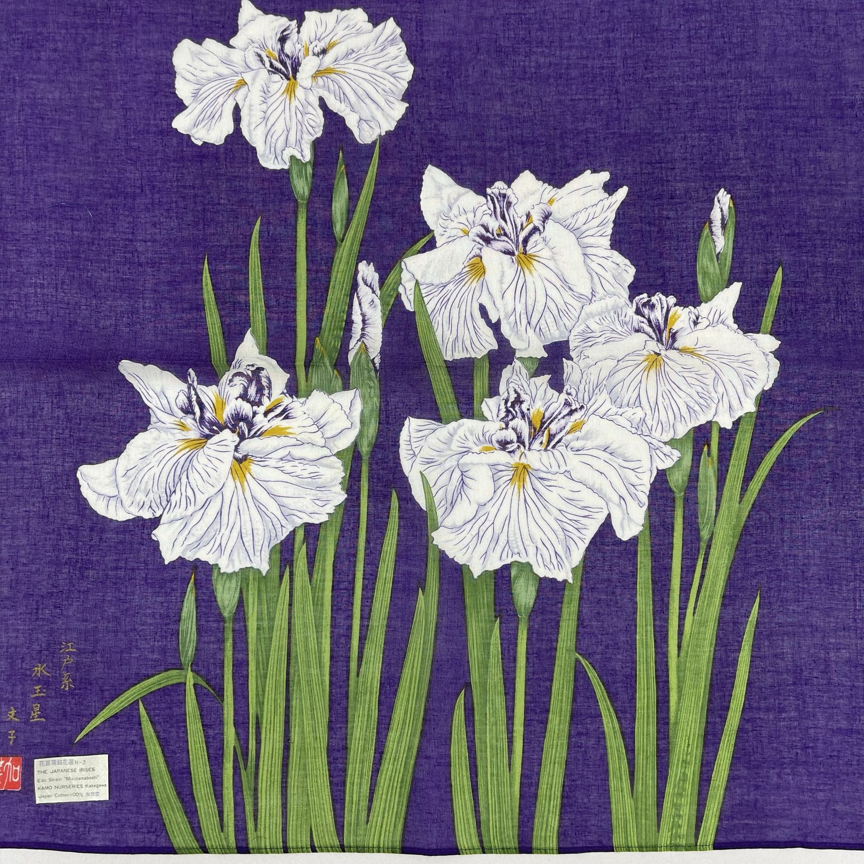 Japanese Brand Irises Edo Strain "Mizutamaboshi" Handkerchief - 5057 Size ONE SIZE - 1 Thumbnail