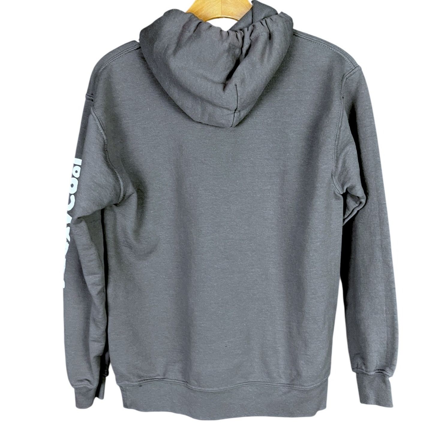 Gildan TLC CrazySexyCool Size Small Unisex Gray Hoodie 90s R&B Size US S / EU 44-46 / 1 - 2 Thumbnail