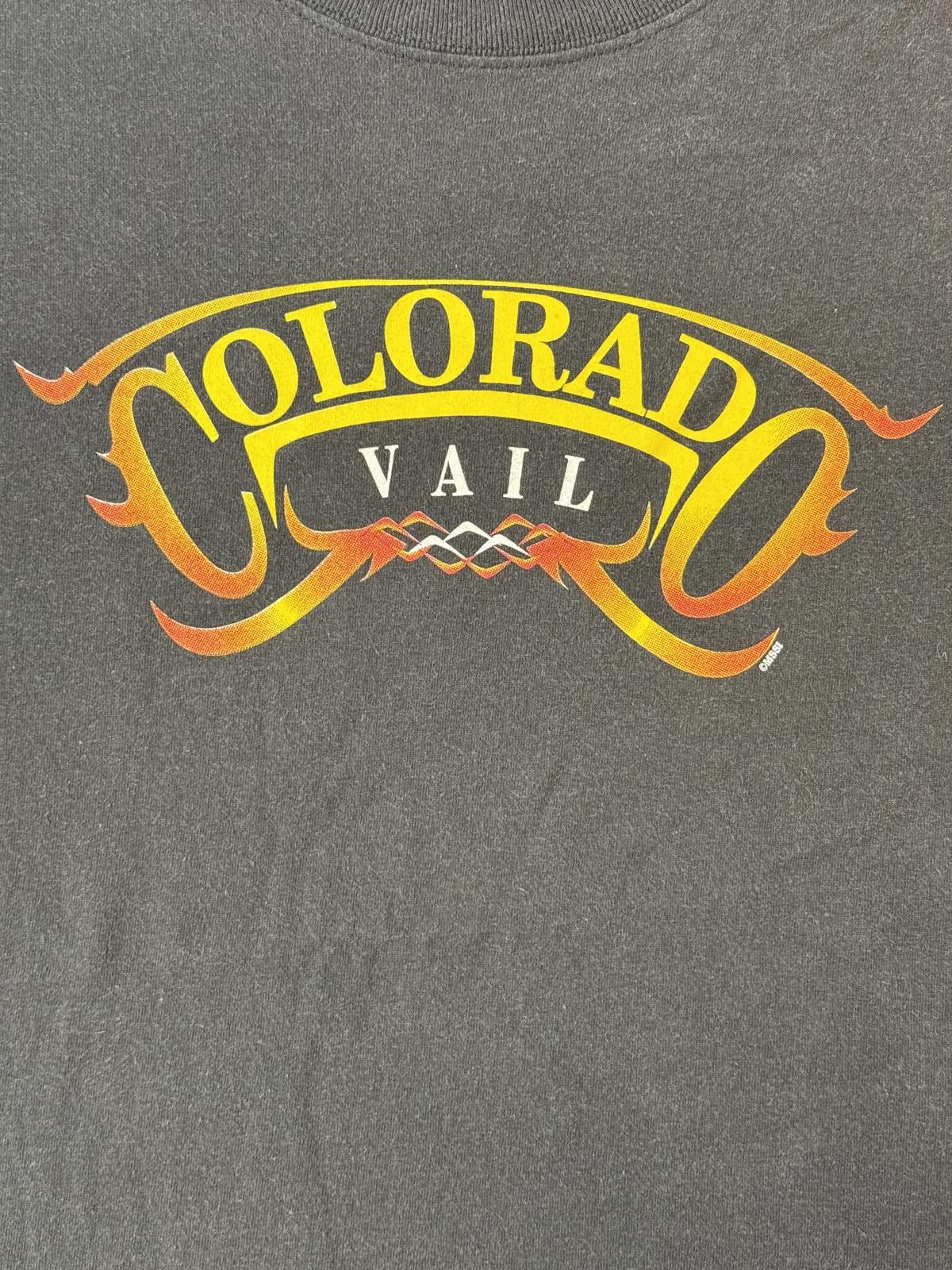 Anvil Faded Colorado Vail Y2K Flame Biker Style Tee - XL Size US XL / EU 56 / 4 - 4 Thumbnail