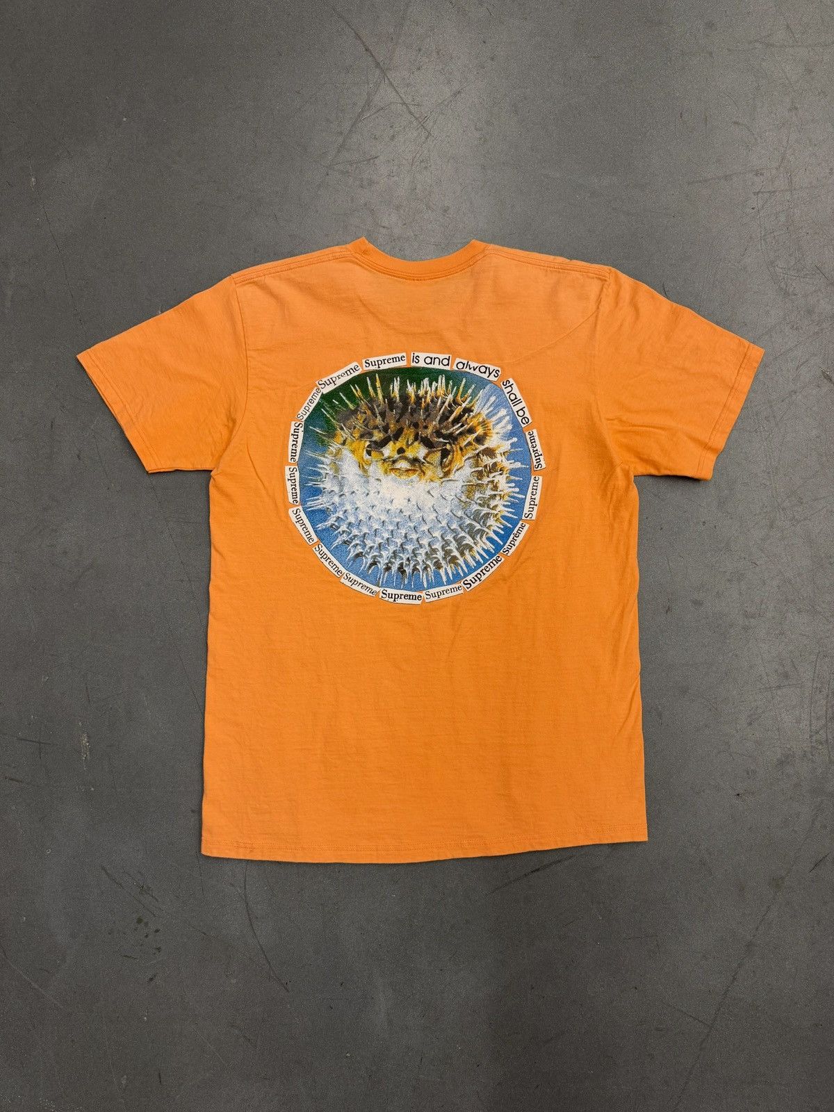 Supreme SS23 Supreme Blowfish Tee Size US L / EU 52-54 / 3 - 1 Thumbnail