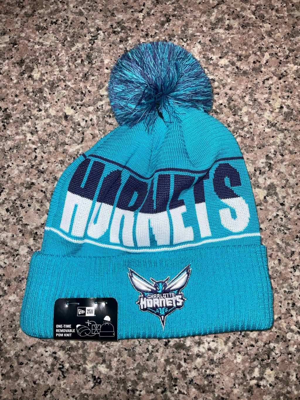 Charlotte hornets beanie 2025