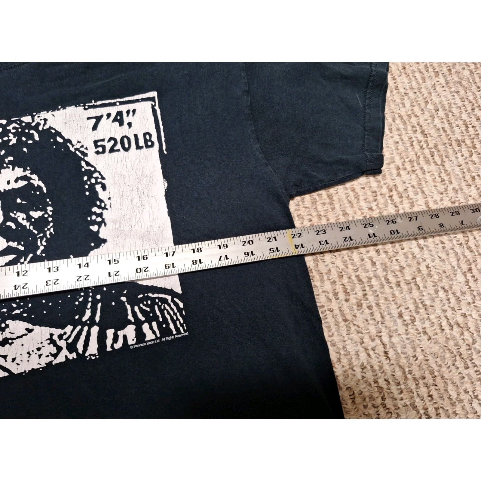 Port & Company Fezzik Has A Posse shirt Men L Black Princess WWF WWE AEW Port & Company VINTAGE (adjust? but not vintage since not stated) Size US L / EU 52-54 / 3 - 5 Thumbnail
