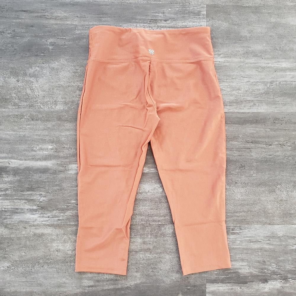 Forever 21 Burnt Orange Metallic F21 Fitted Athletic Capri Size 32" / US 10 / IT 46 - 2 Thumbnail