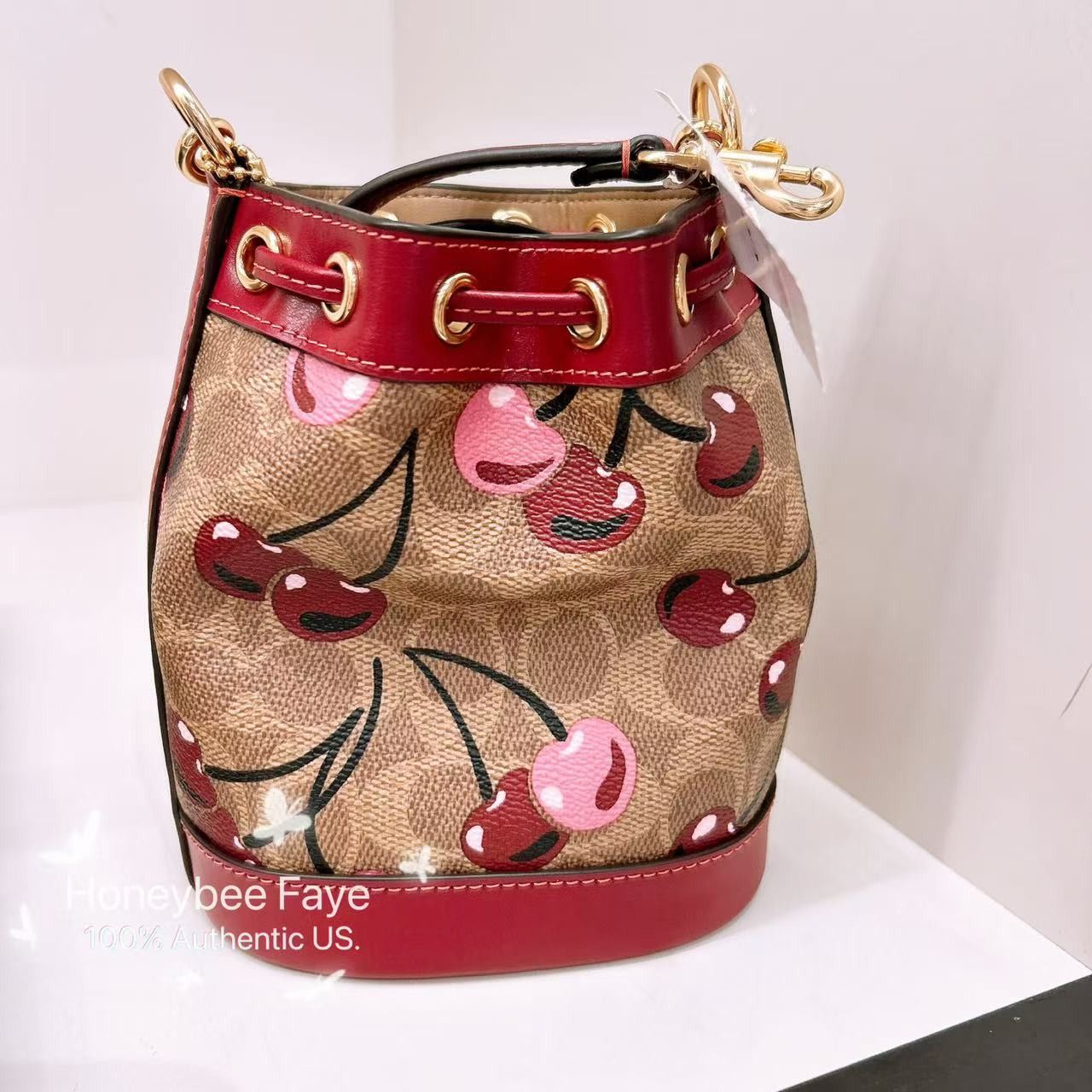 Coach 🍒 Mini Bucket Bag In Signature Canvas With Cherry CY738 Size ONE SIZE - 6 Thumbnail