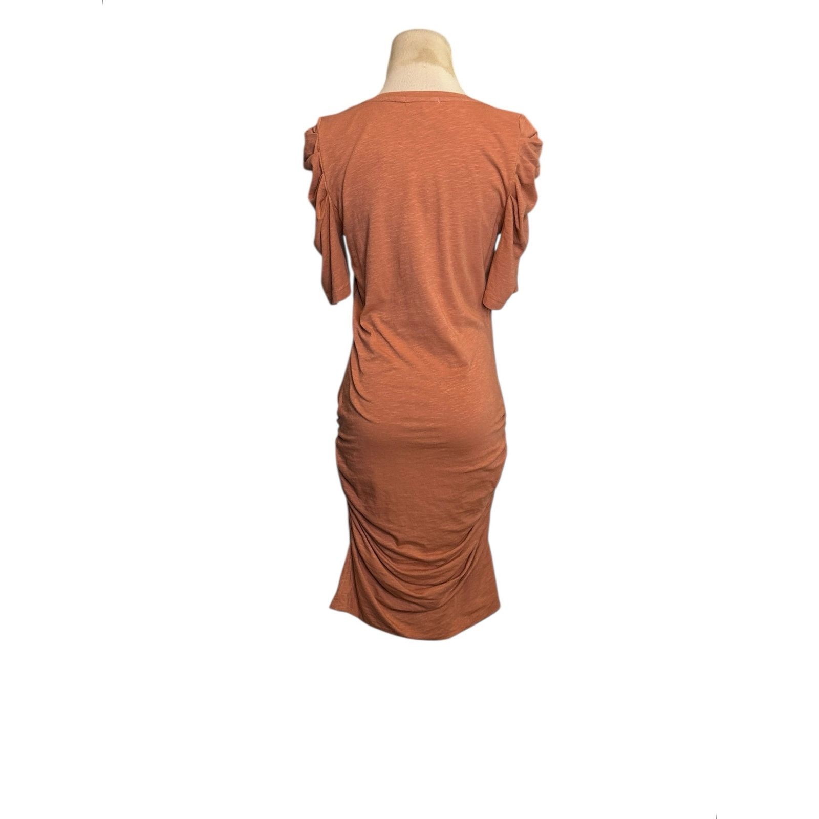 Sundry Sundry Brown Puff Short Sleeves Ruched Mini Dress Size 2 Size XS / US 0-2 / IT 36-38 - 12 Thumbnail