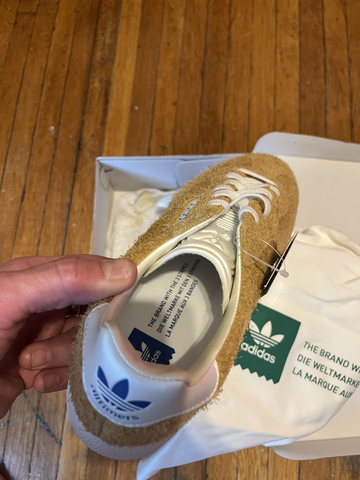 adidas gazelle silver green womens adidas Gazelle ADV Shoes main image 1