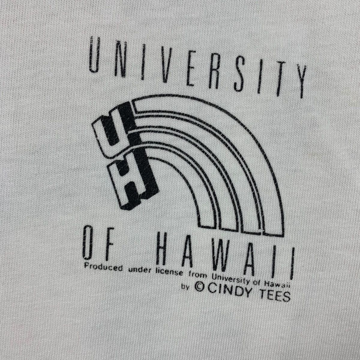 Hanes × Vintage Vintage UNIVERSITY OF HAWAII Rainbow printed tee Size US L / EU 52-54 / 3 - 9 Thumbnail