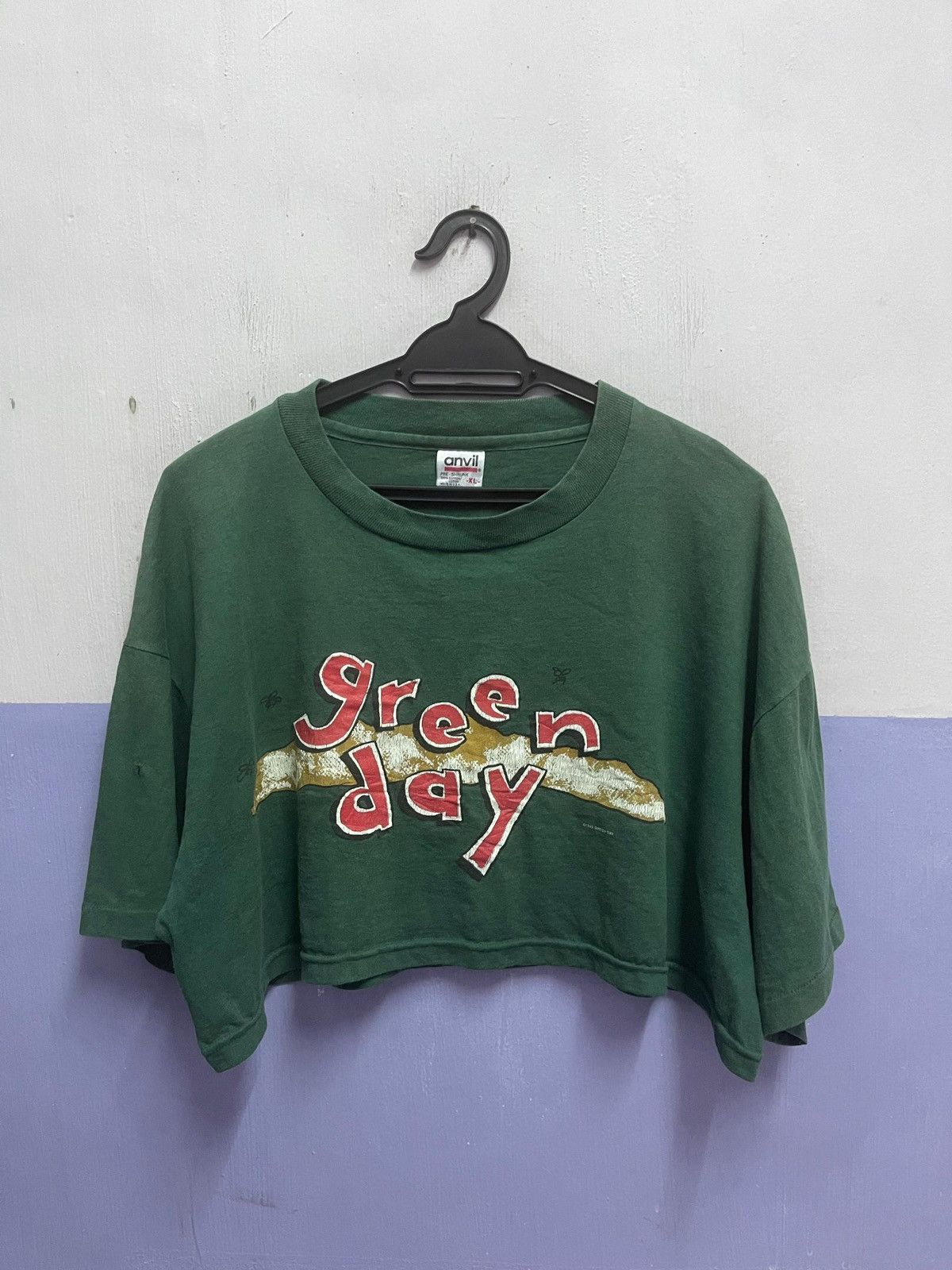 Band Tees Vintage 1995 Green Day Dookie Crop Tshirt Size US L / EU 52-54 / 3 - 10 Thumbnail