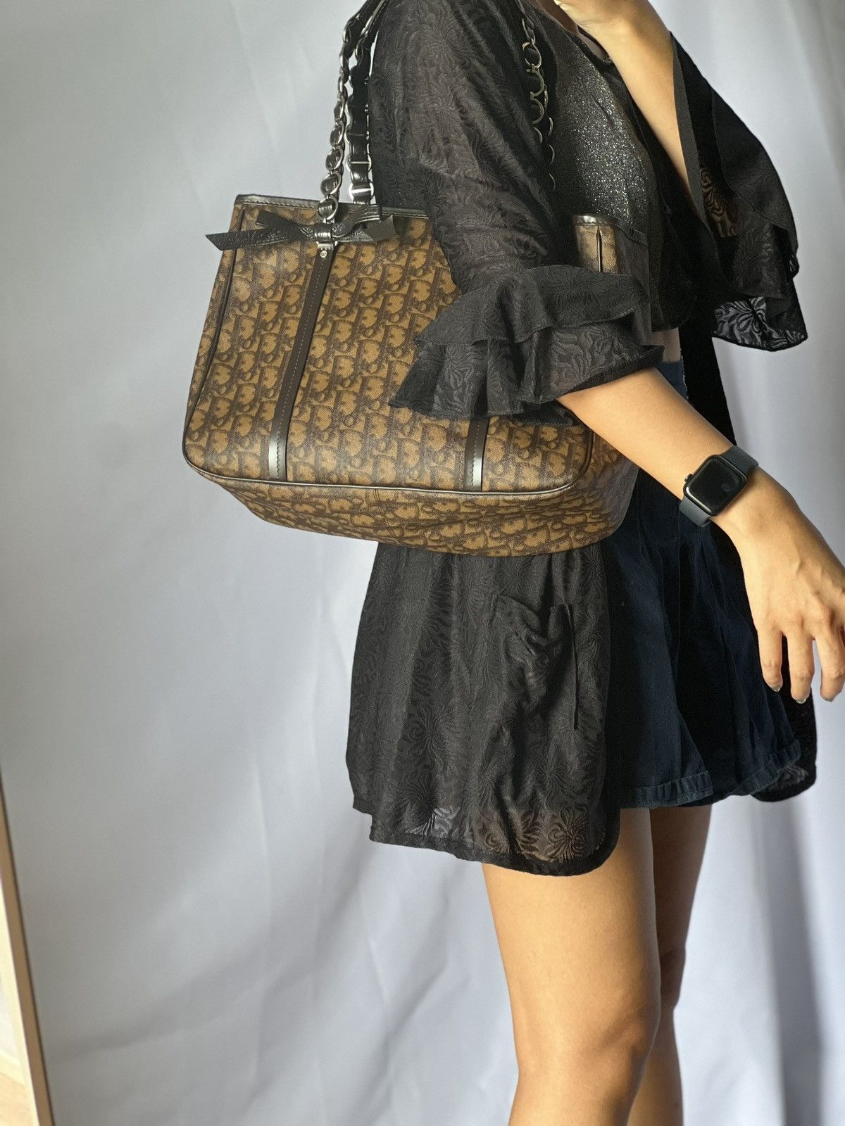 Dior Dior Trotter Brown Canvas Tote Bag Size ONE SIZE - 20 Thumbnail