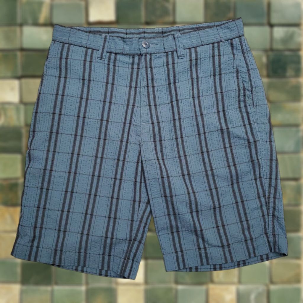 Patagonia Patagonia Shorts Men 31 Blue Flat Front Seersucker Outdoor Hike Bermuda Ocean Nature Plaid Pockets Casual Mens Size US 31 - 1 Thumbnail