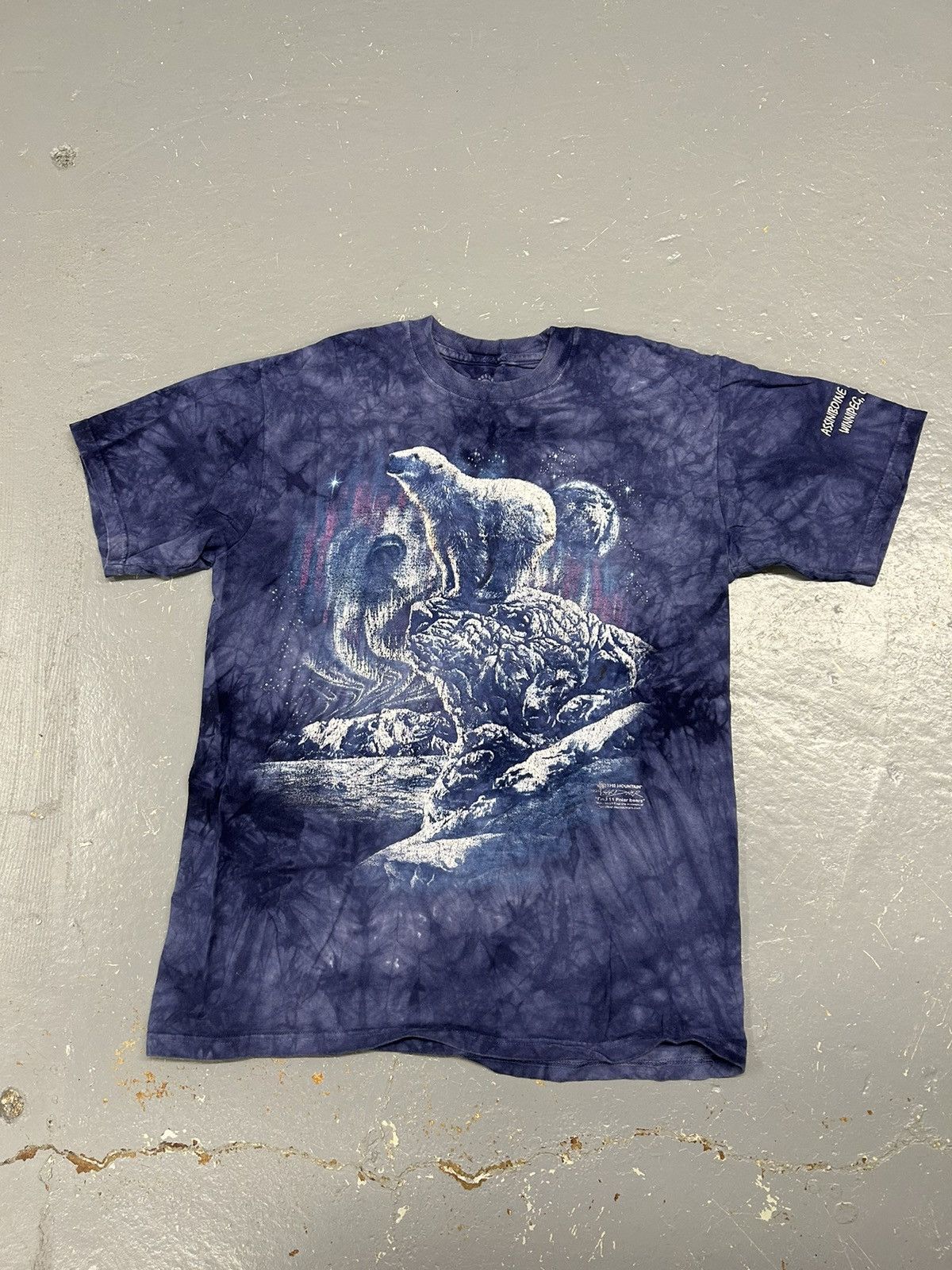 The Mountain × Vintage Crazy Vintage Y2K Essential The Mountain Polar Bears T-Shirt Size US M / EU 48-50 / 2 - 1 Thumbnail