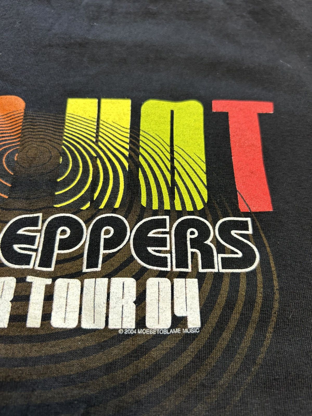 Band Tees × Vintage Vintage 2004 Summer Tour Red Hot Chili Peppers rock metal Size US M / EU 48-50 / 2 - 6 Thumbnail
