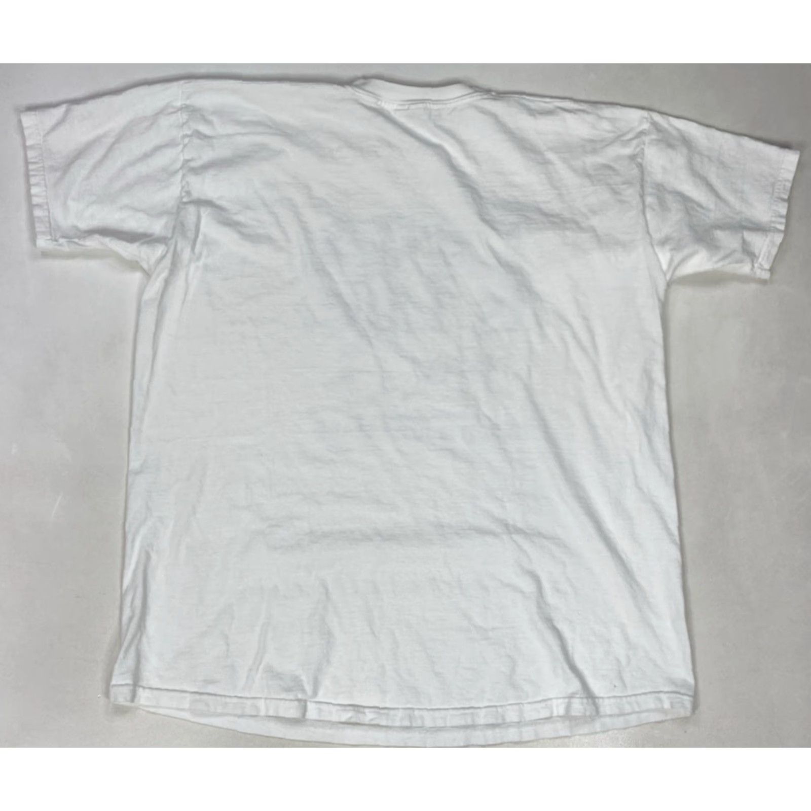 Fruit Of The Loom VINTAGE Fruit of the Loom DNA Is Life The Rest Is Just Details Graphic T-shirt Men XXL White Size US XXL / EU 58 / 5 - 6 Thumbnail