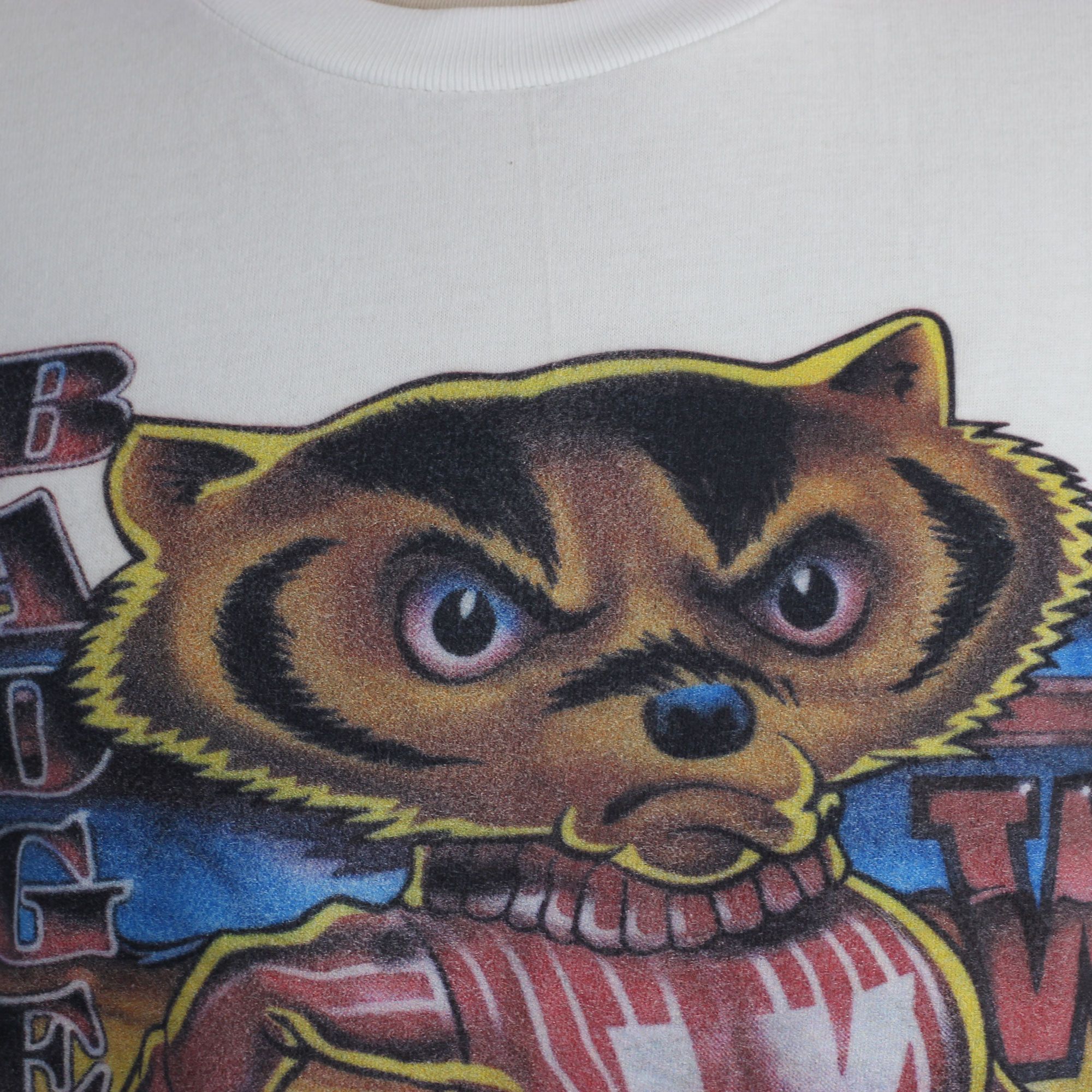 American Apparel Wisconsin Badgers Sweatshirt/Shirt/Tshirt Size US XL / EU 56 / 4 - 5 Thumbnail