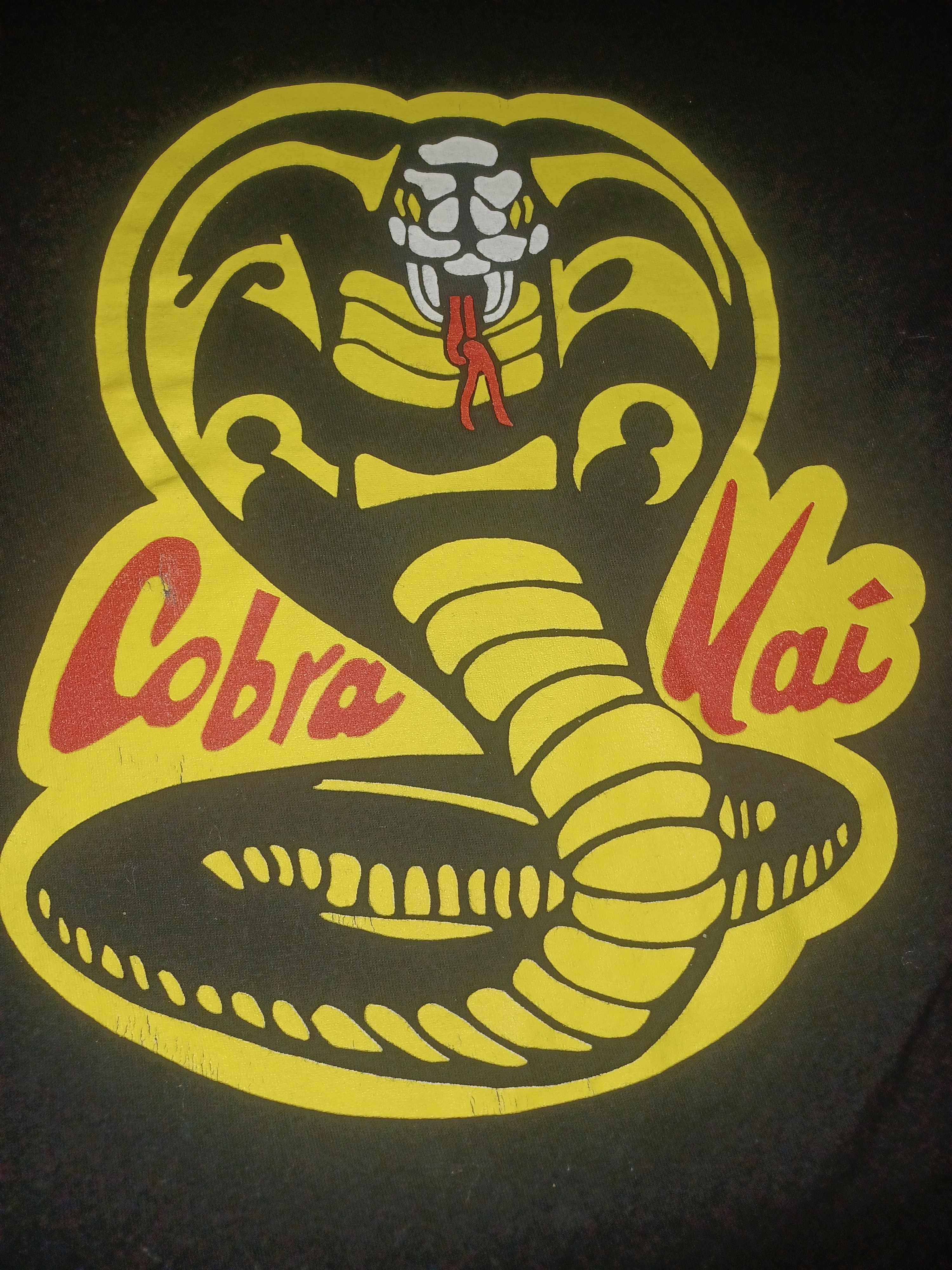 Other Bioworld Cobra Kai Men's Graphic Tee Medium Black Size US M / EU 48-50 / 2 - 2 Thumbnail