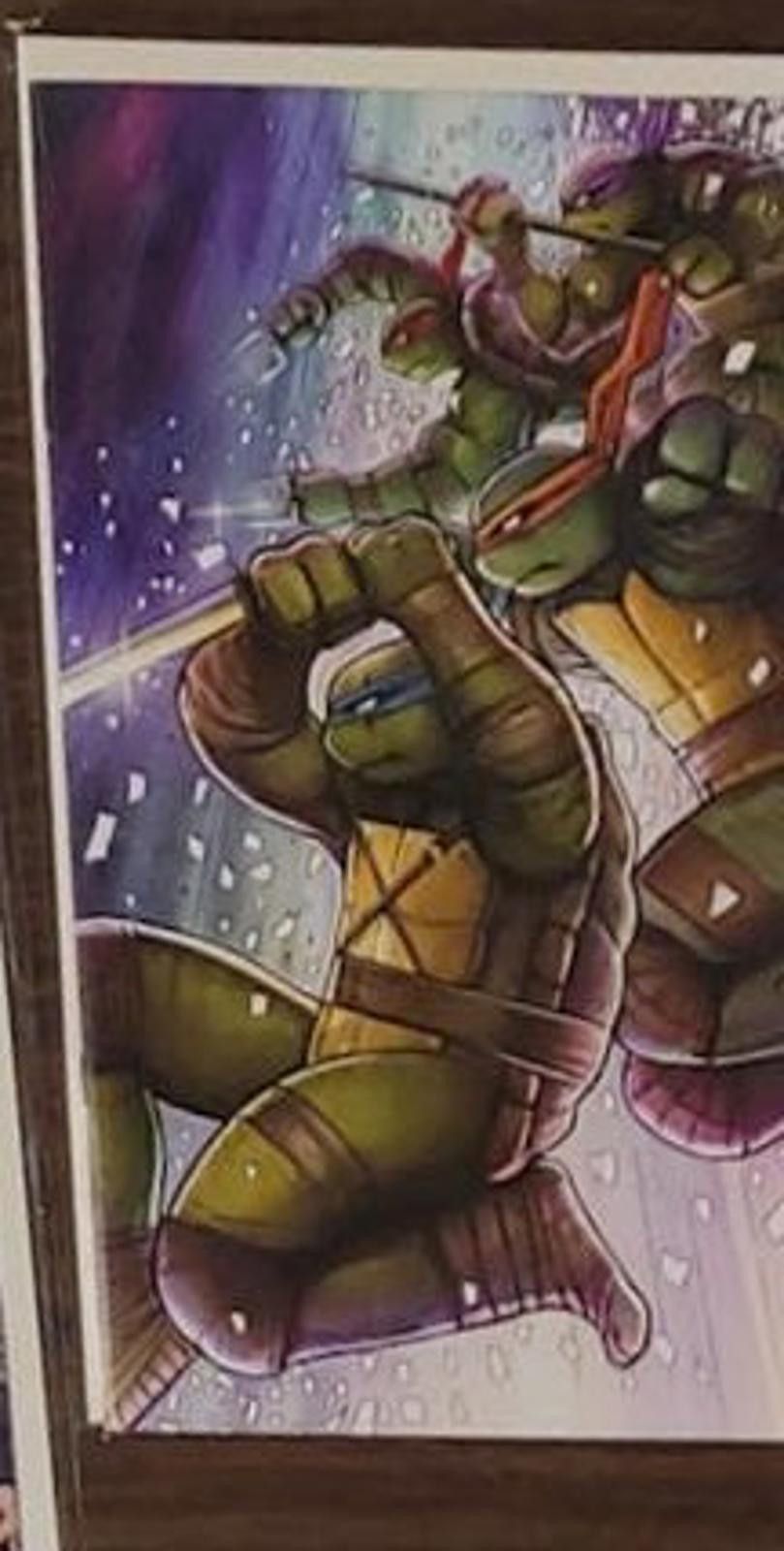 Tintoria Mattei TMNT Issue #13 (Nathan Szerdy)-(1:25) Blind Bag Exclusive A Size ONE SIZE - 2 Thumbnail
