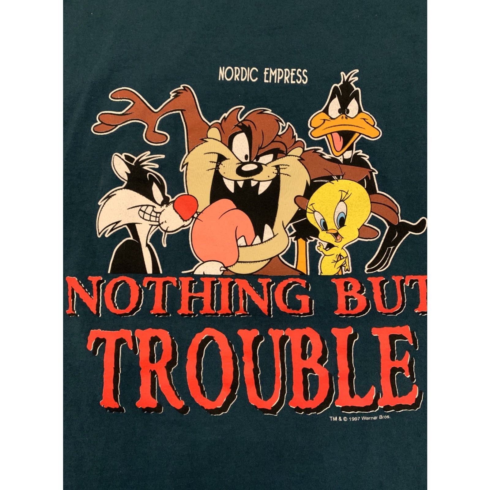 Vintage VINTAGE Looney Tunes Nordic Empress Cruise Ship T-Shirt 2XL Adult Green Mens Size US XXL / EU 58 / 5 - 2 Thumbnail