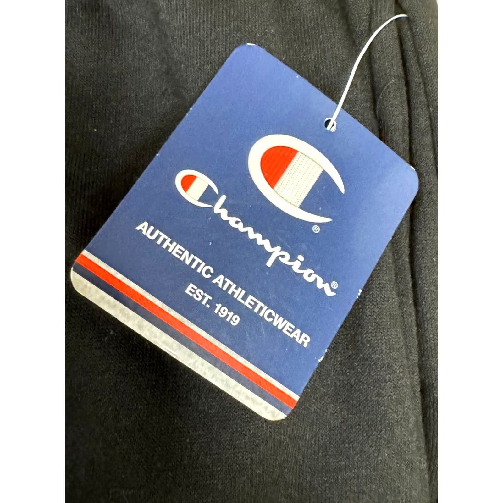 Champion Champion Men's Performance Sweatpants Embroidered Mini C,2- Pockets, Tagless Sweatpants Mens S Black Size US 29 - 5 Thumbnail