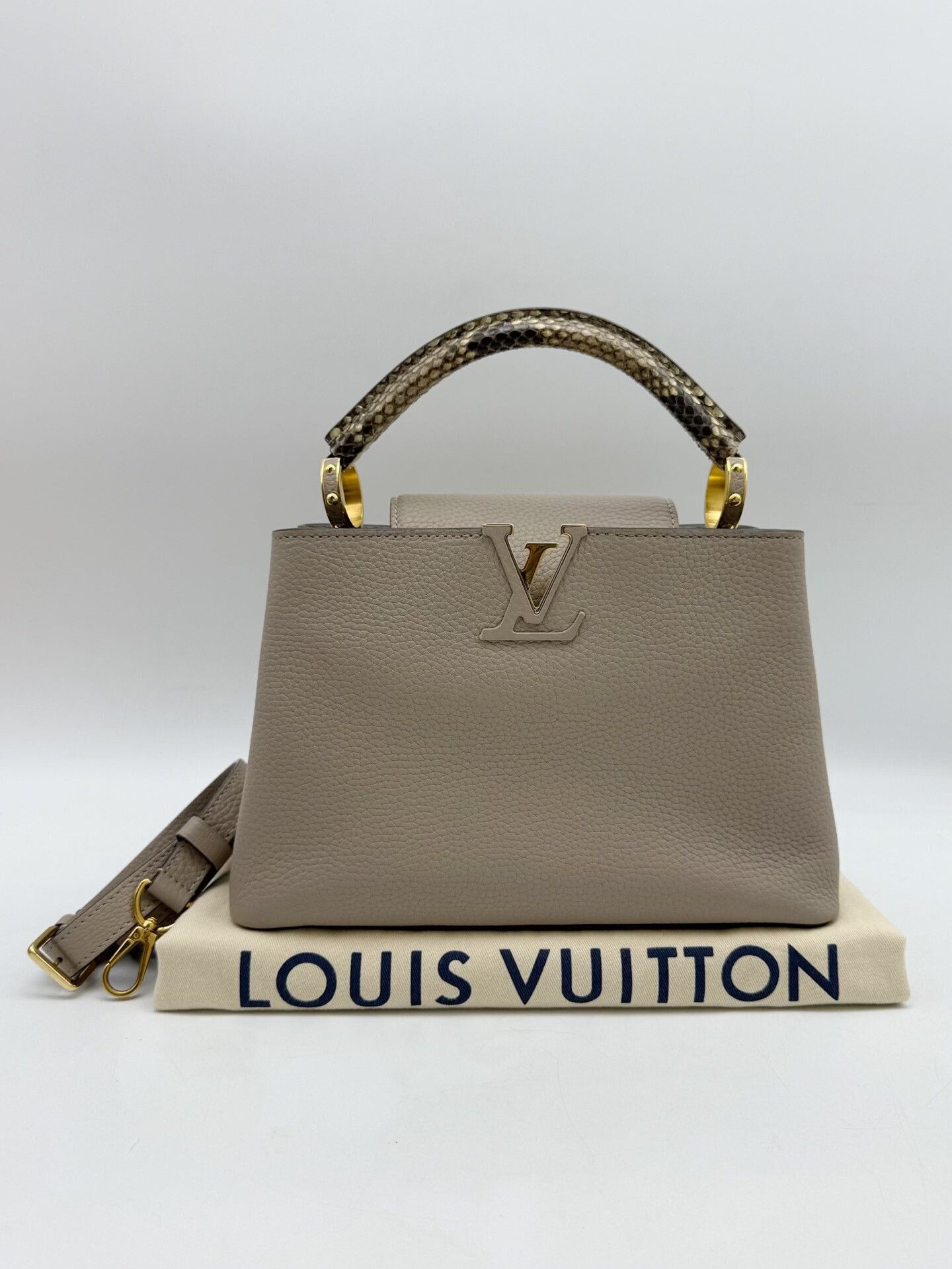 Louis Vuitton Pre-loved Bag Very good condition Size ONE SIZE - 1 Thumbnail