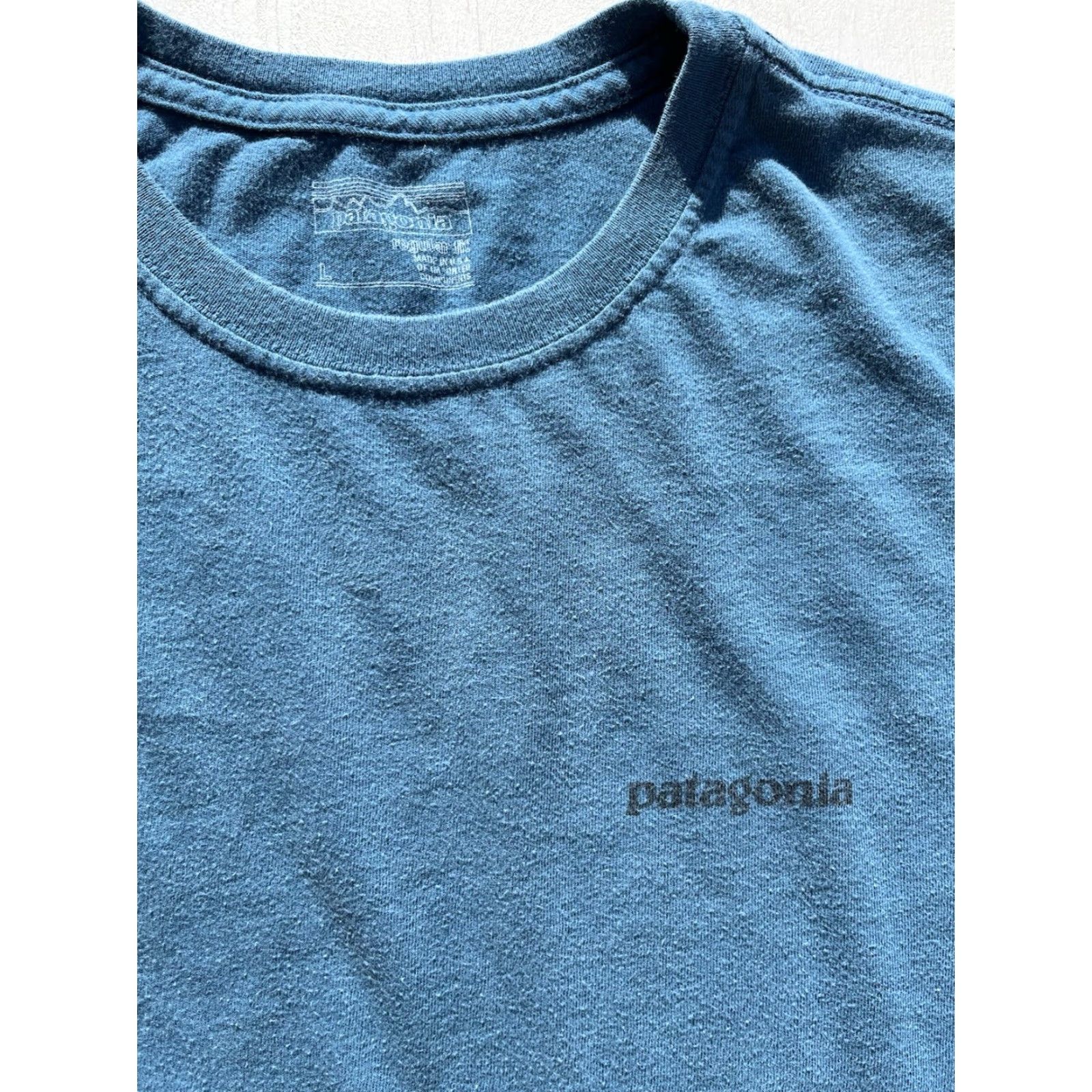 Patagonia Patagonia T-Shirt Blue/Green Logo Responsibili-tee Men’s L Shirt Regular Crew Neck 100% Organic Cotton Size US L / EU 52-54 / 3 - 3 Thumbnail