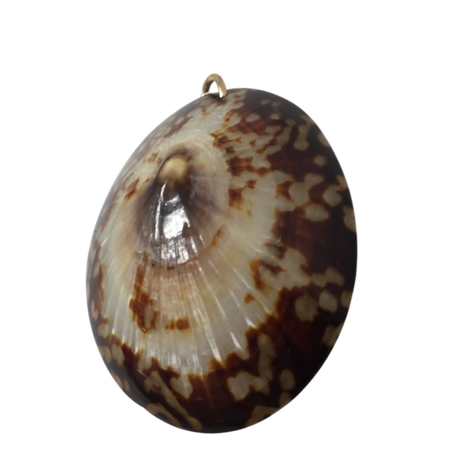 Other Vintage Brown/White Sea Shell Pendant For Necklace Size ONE SIZE - 2 Thumbnail