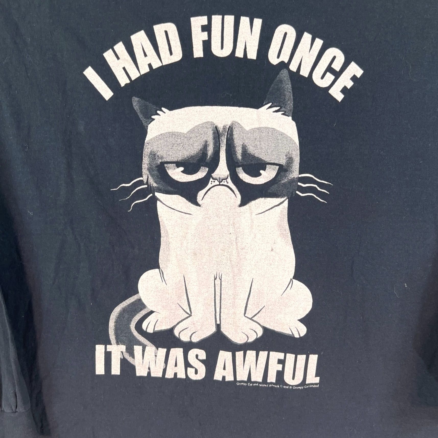 Vintage Grumpy Cat Long Sleeve Shirt Adult XXL Black I Had Fun Once It Was Awful Cat Graphic Print Mens 2XL Black Size US XXL / EU 58 / 5 - 2 Thumbnail