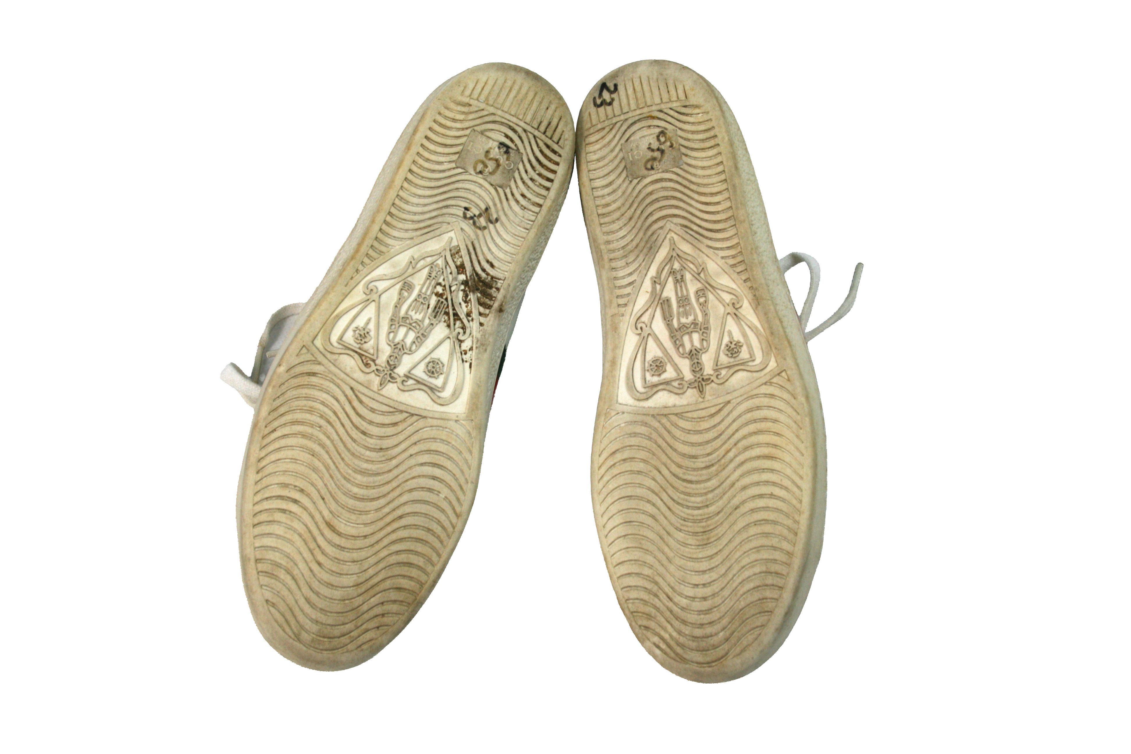Ace Bee Embroidered Leather Low Sneakers