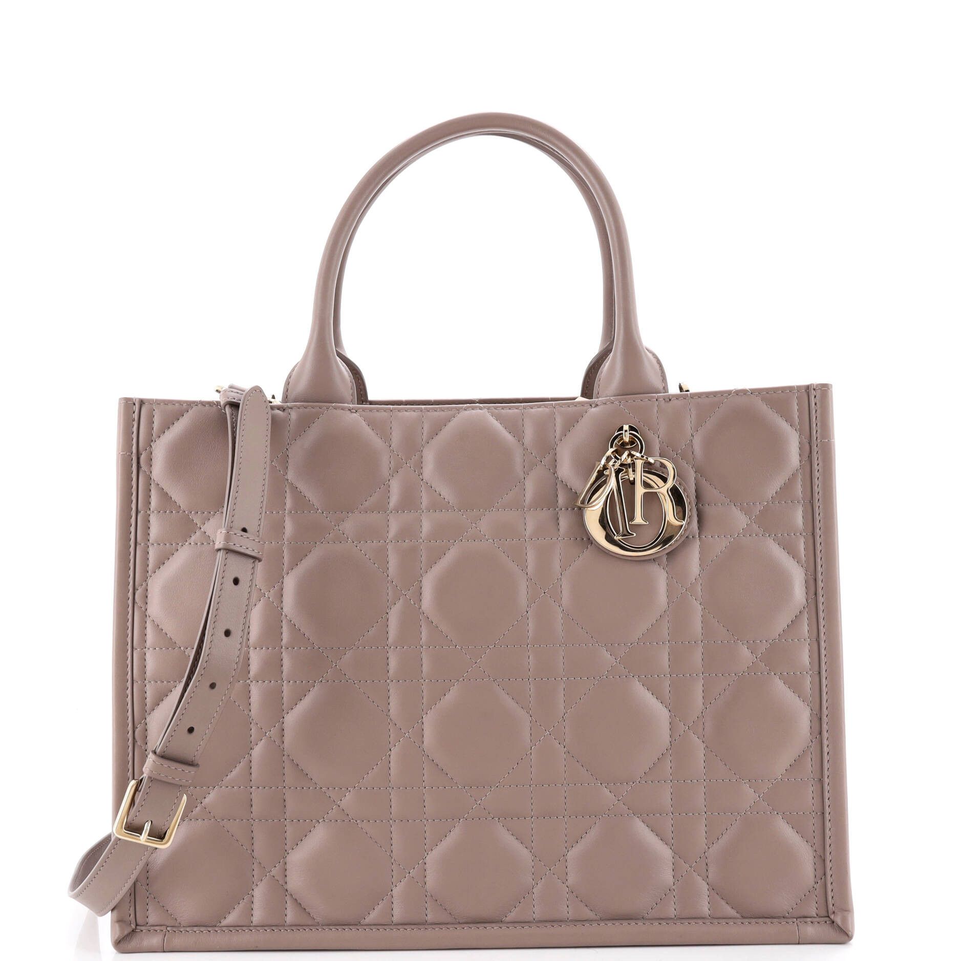 Dior Book Tote with Strap Size ONE SIZE - 1 Thumbnail