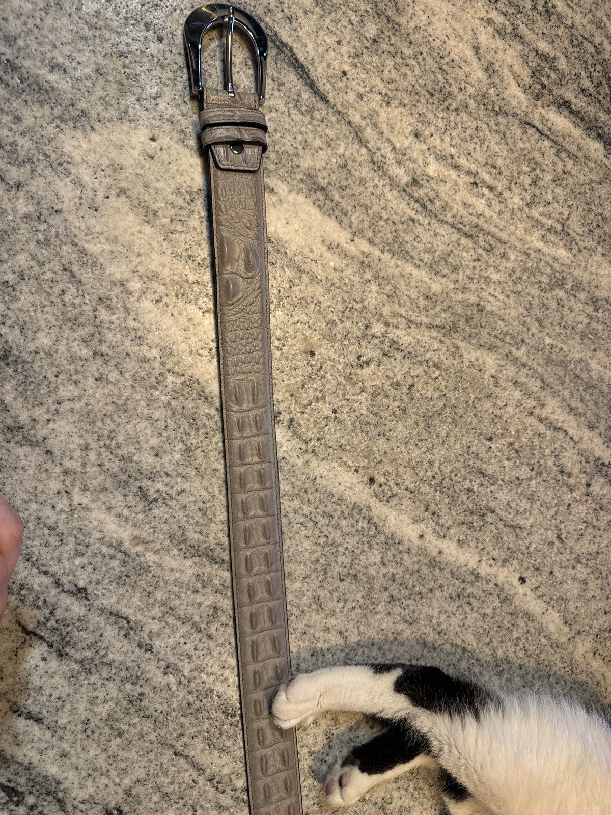 Other Snakeskin Belt Size 30 - 3 Thumbnail