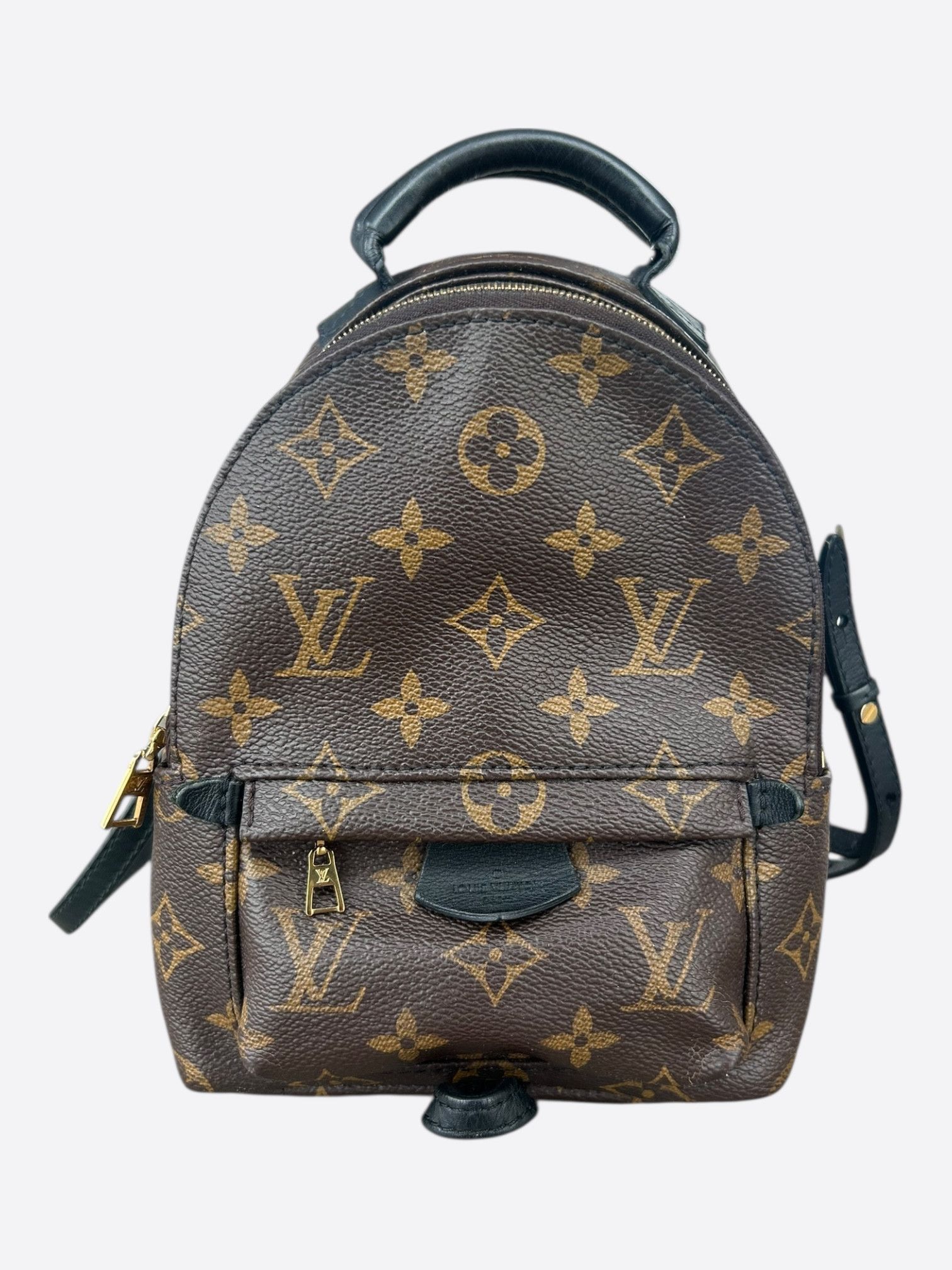 Louis Vuitton Louis Vuitton Brown Monogram Palm Springs Mini Size ONE SIZE - 1 Thumbnail