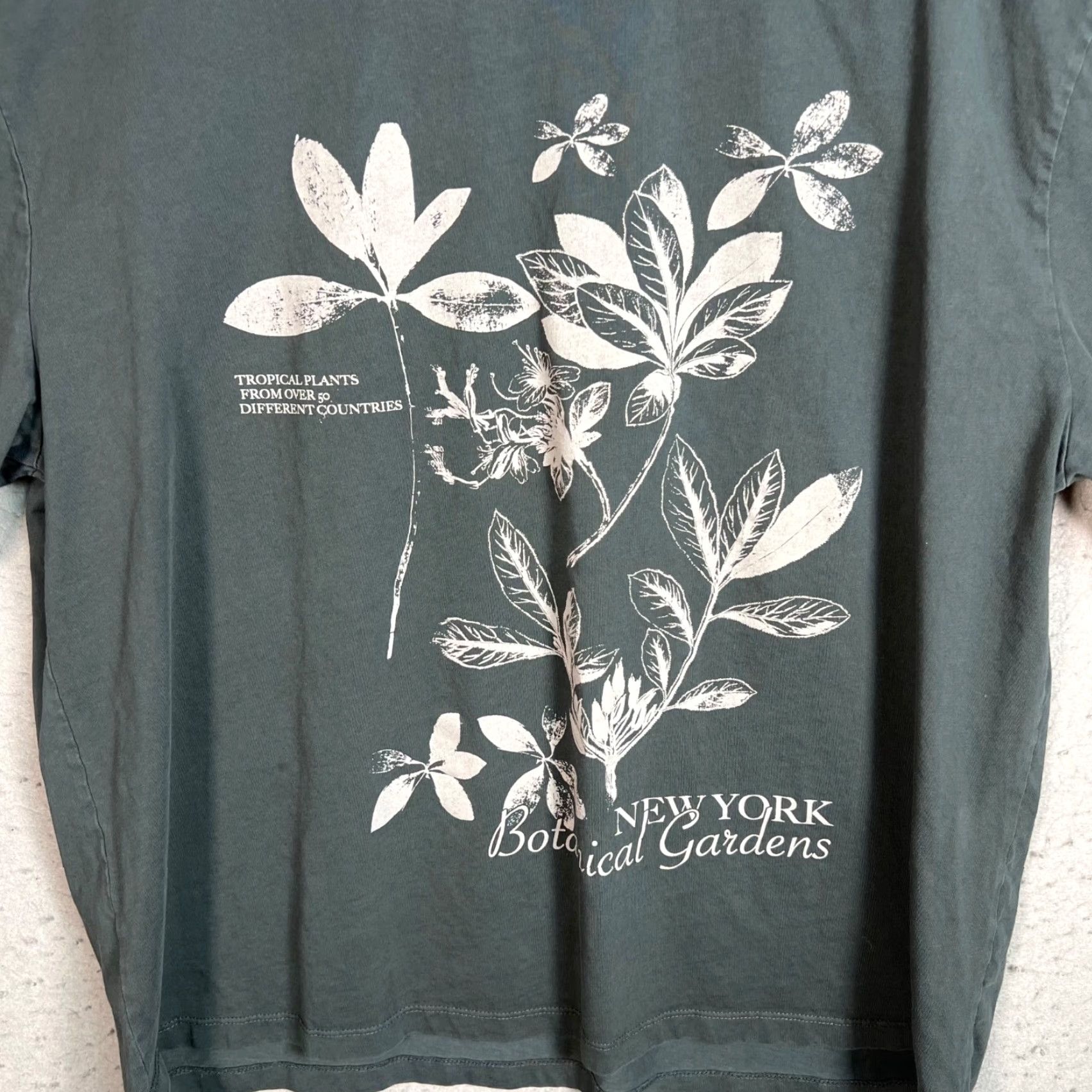 Asos ASOS Design Mens Small New York Botanical Gardens T-Shirt 100% Cotton Shirt Mens Small Gray NYBG T-Shirt 100% Cotton Size US S / EU 44-46 / 1 - 6 Thumbnail